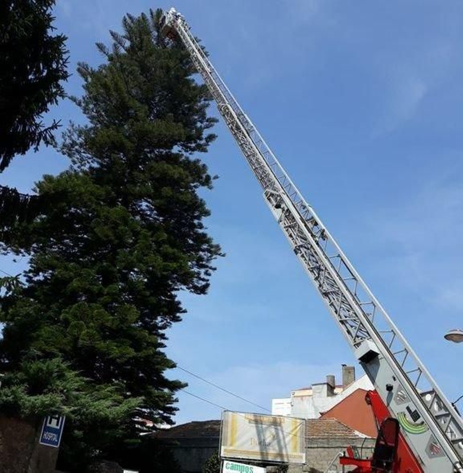 Un camión de bomberos inspecciona uno de los nidos de velutina en Vigo.