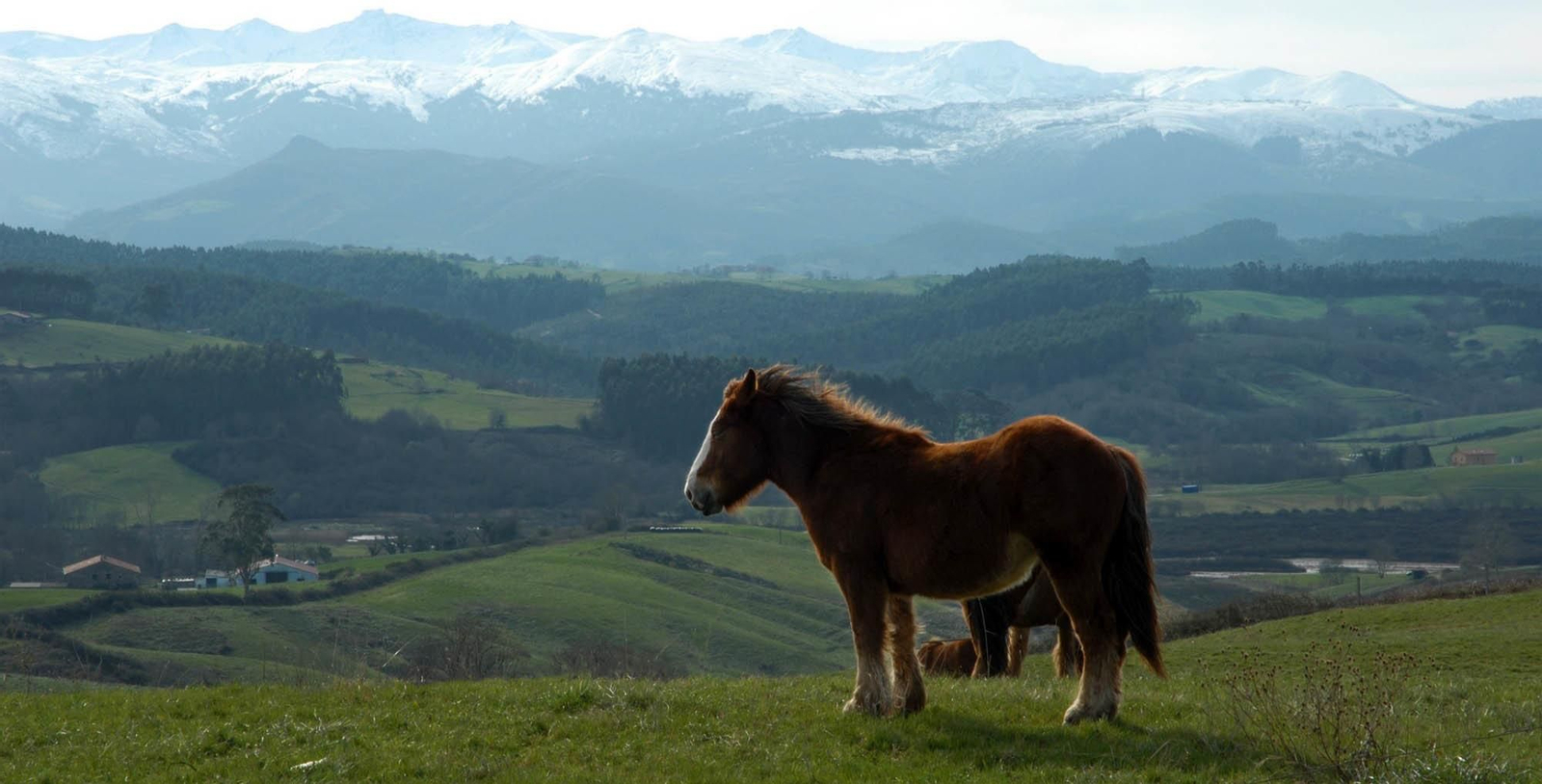 Foto: turismodecantabria.com