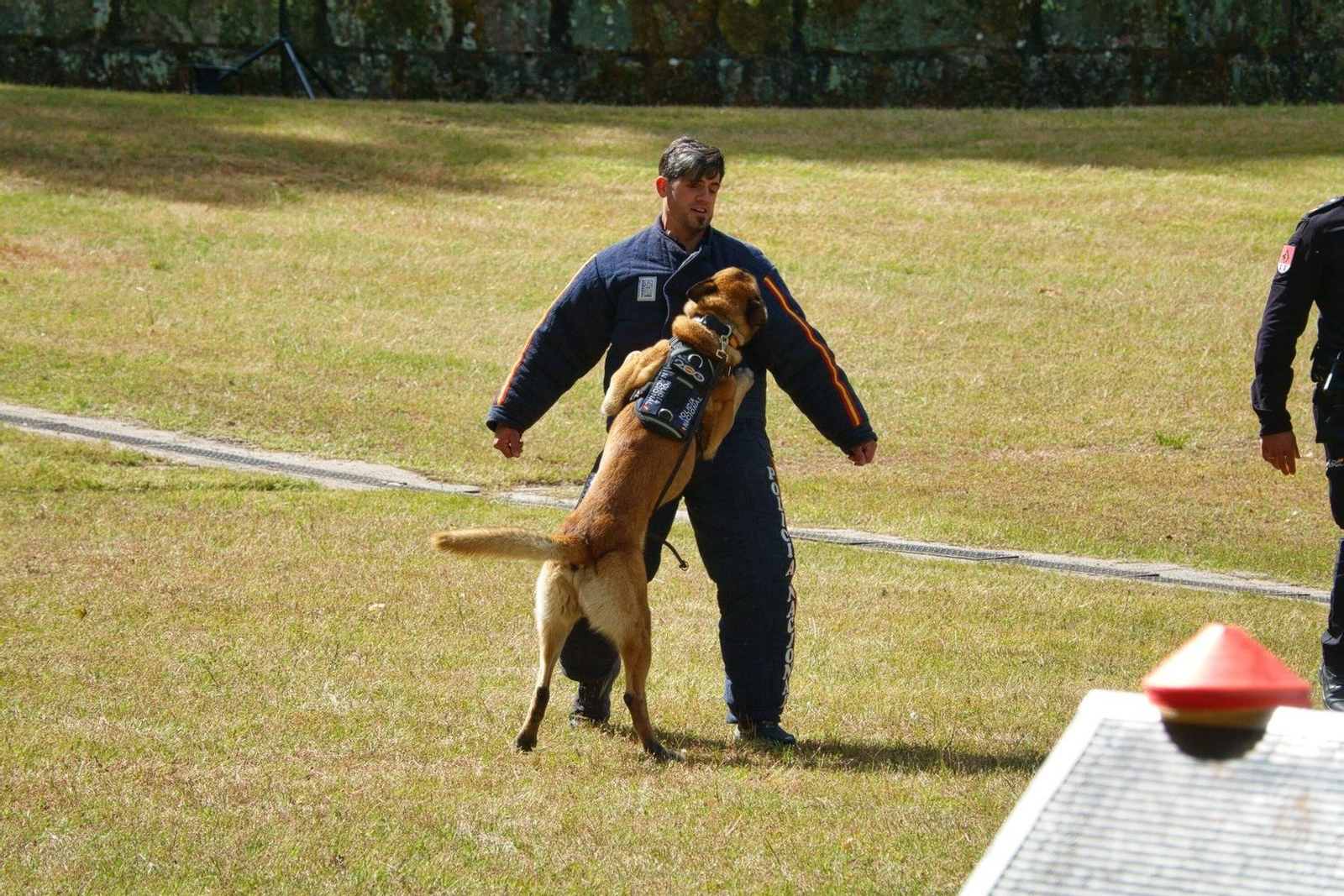 26-05-2024 VIGO// VICENTE ALONSO / ATLANTICO. EXHIBICION CUERPOS DE LA POLICIA NACIONAL EN CASTRELOS