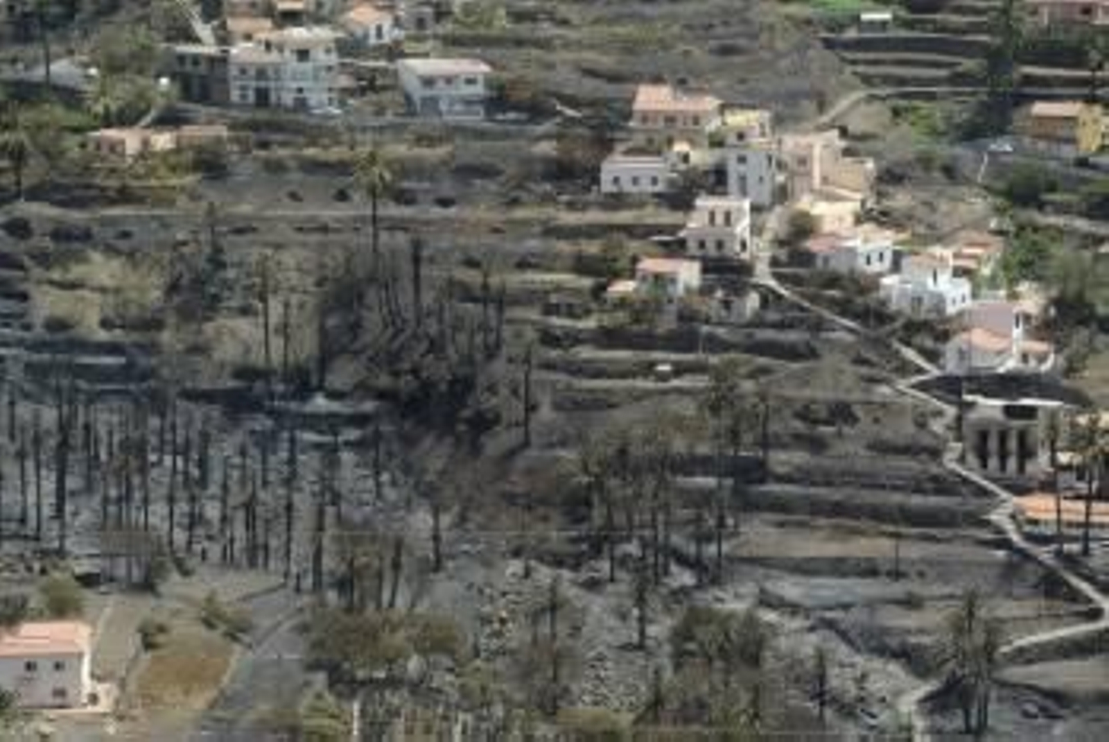 Estado en que quedó el paraje del Barranco de Guadá, en Valle Gran Rey, tras el paso del incendio. (Foto: CARLOS FERNÁNDEZ)