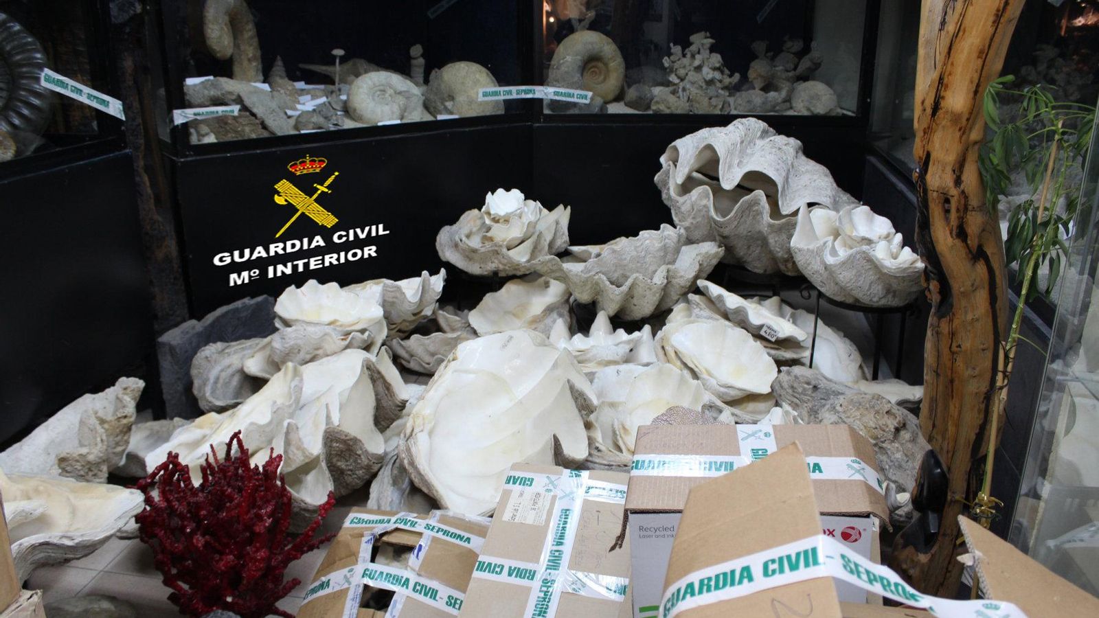 20191114 CITES VIGO 2