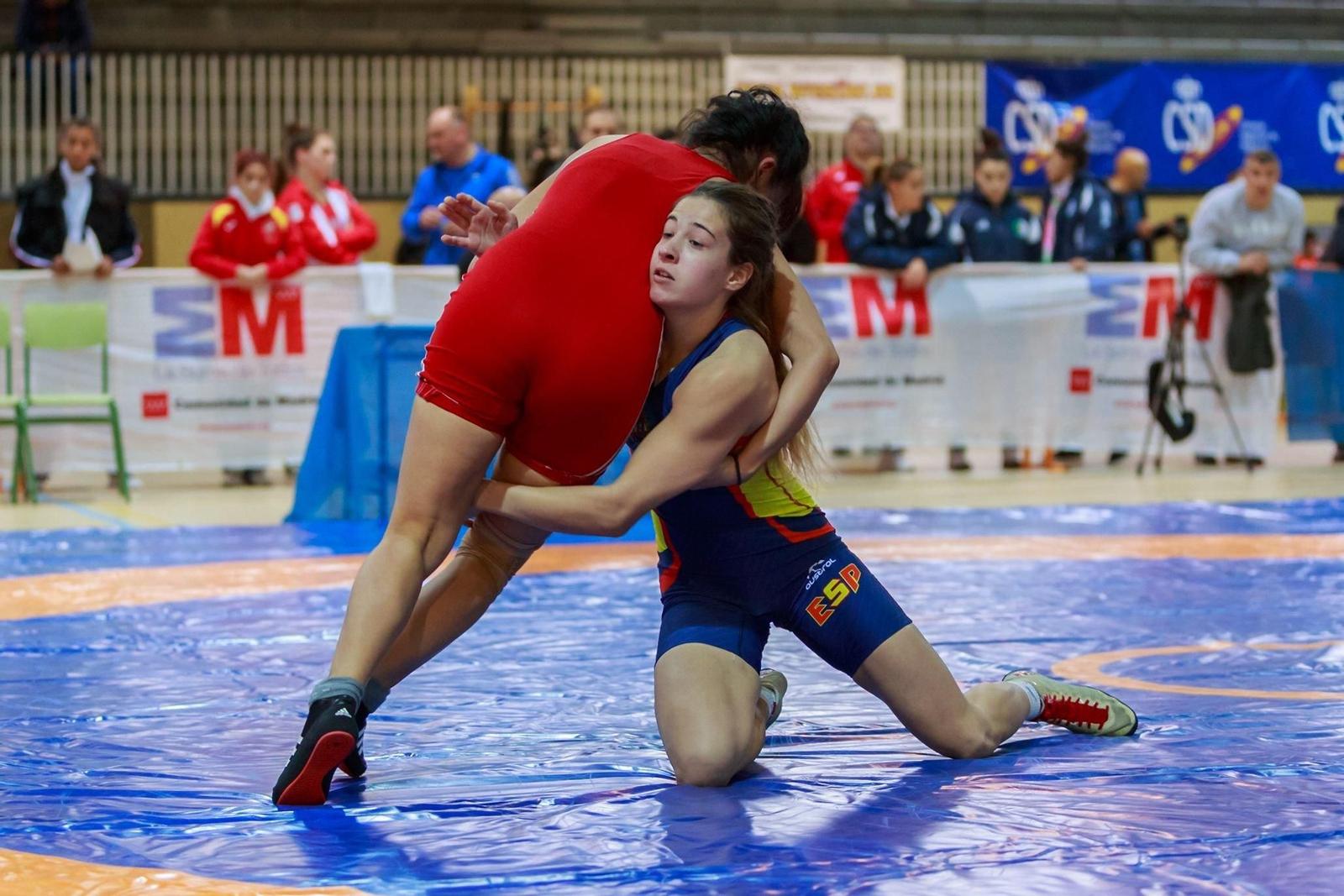 Las luchadoras gallegas aspiran a varios podios en Pontevedra.