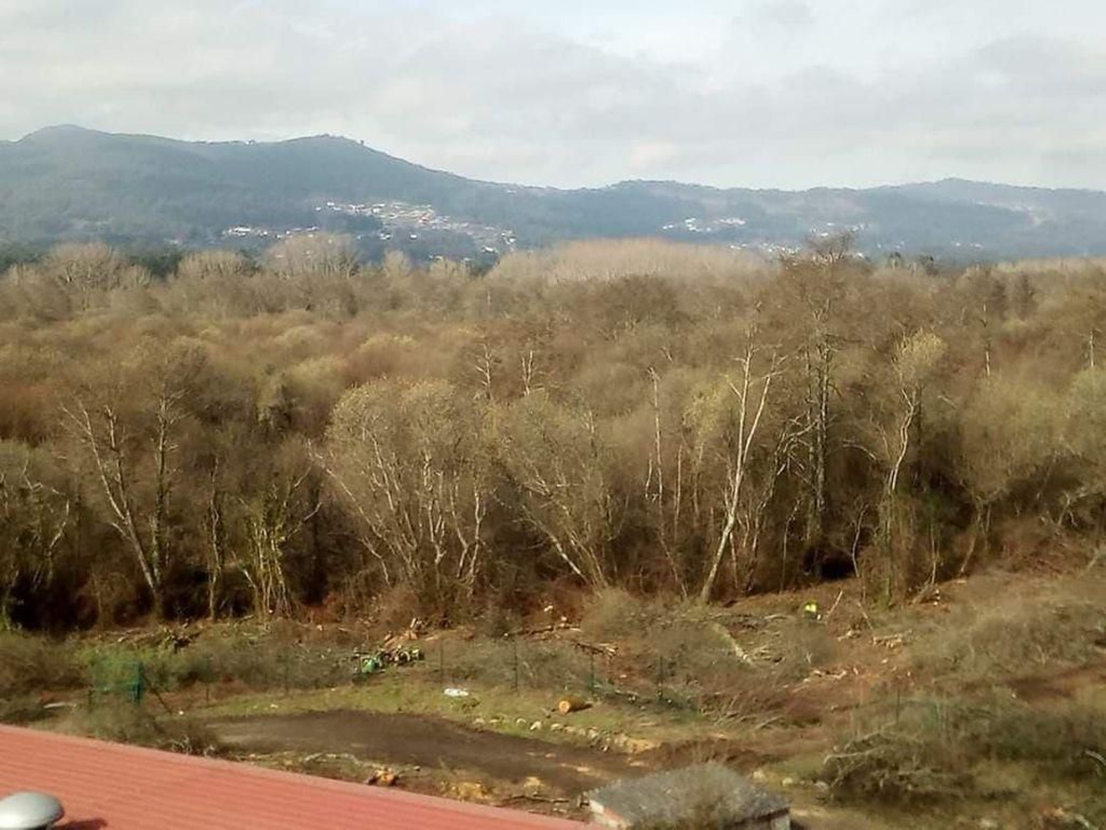 Comienzo de las talas en la parcela que el Concello cedió a Aceesca.