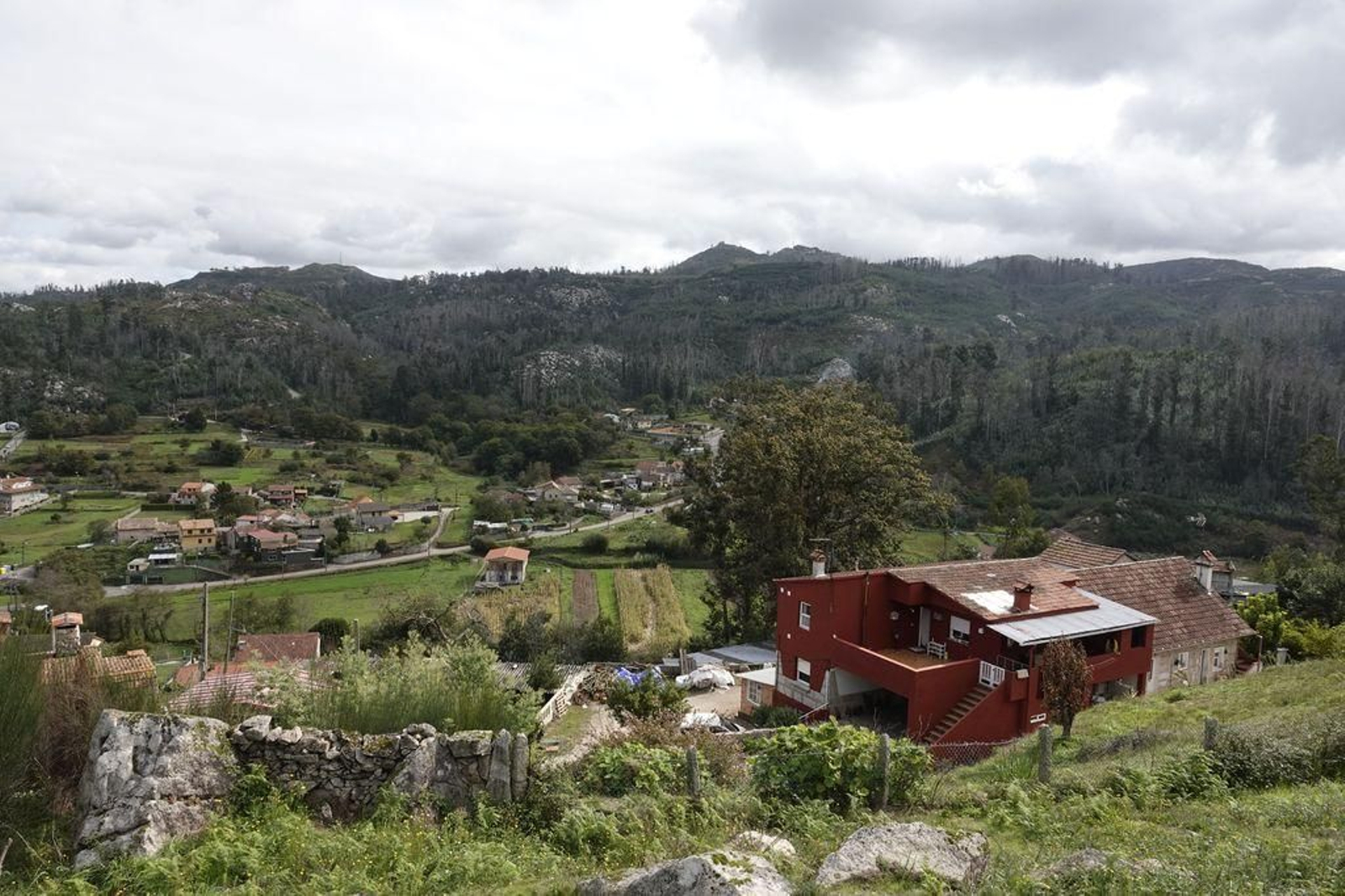 Las casas de la familia Prado de Peso se encuentran junto a una de las zonas forestales más afectada por el incendio de octubre de 2017. El monte aún muestra eucaliptos quemados, junto grupos de árboles autóctonas intactas.