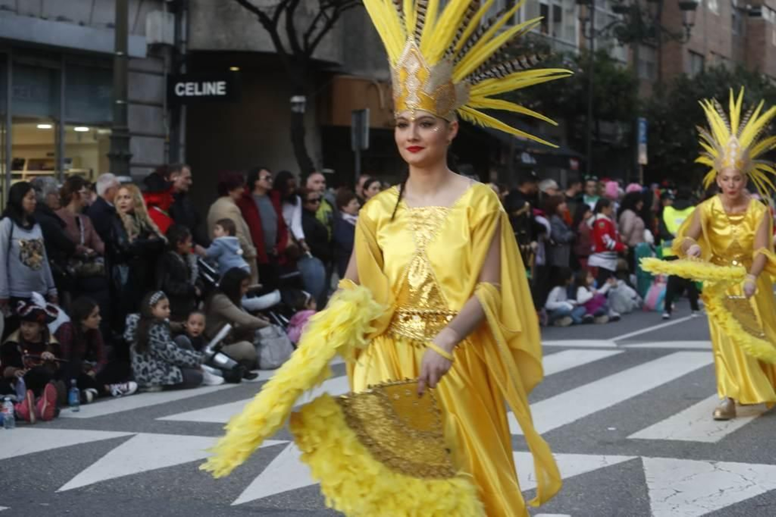 Desfile del Entroido en Vigo 367
