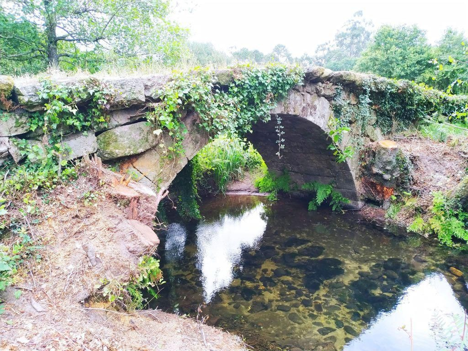 El puente se encuentra muy deteriorado como consecuencia del mal tiempo y el abandono.