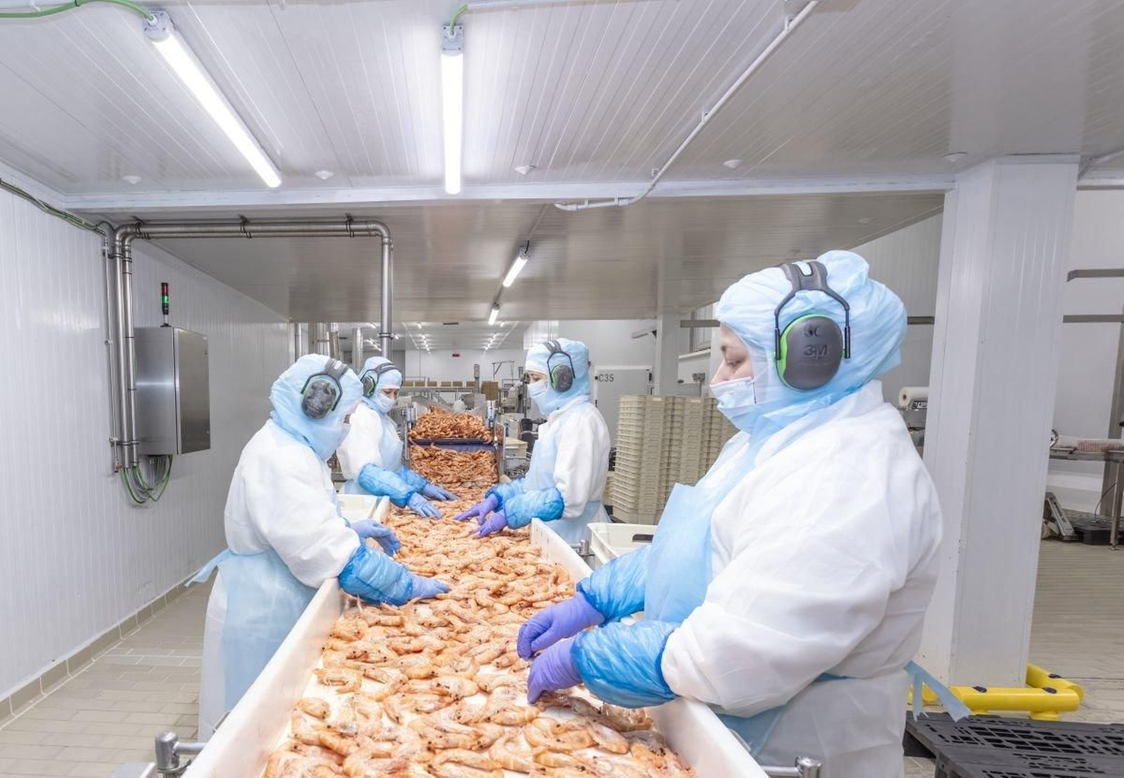 La pesquera viguesa Profand zona ya las 3.500 personas trabajadoras en sus plantas.