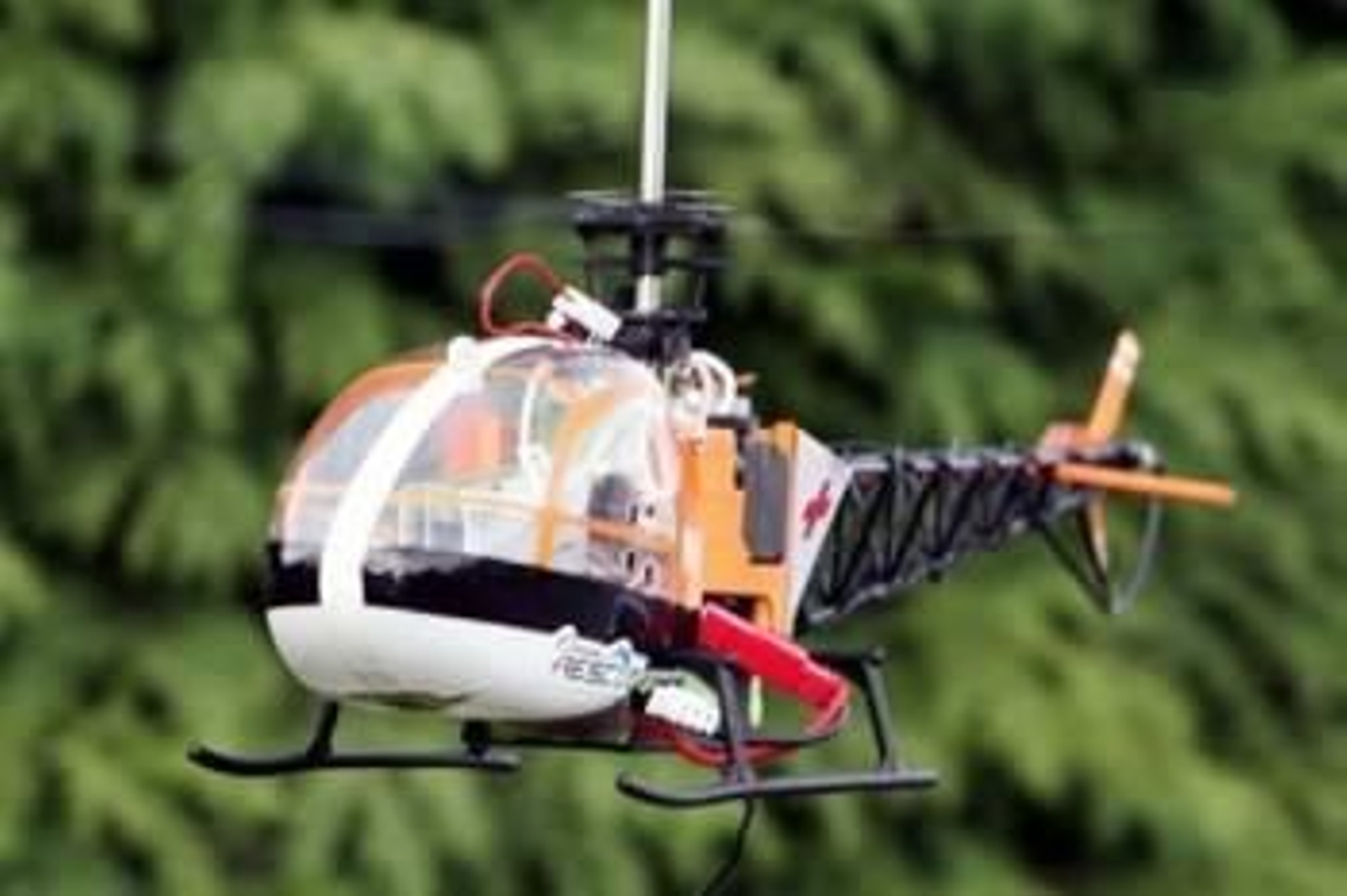 Foto: WIKIMEDIA COMMONS