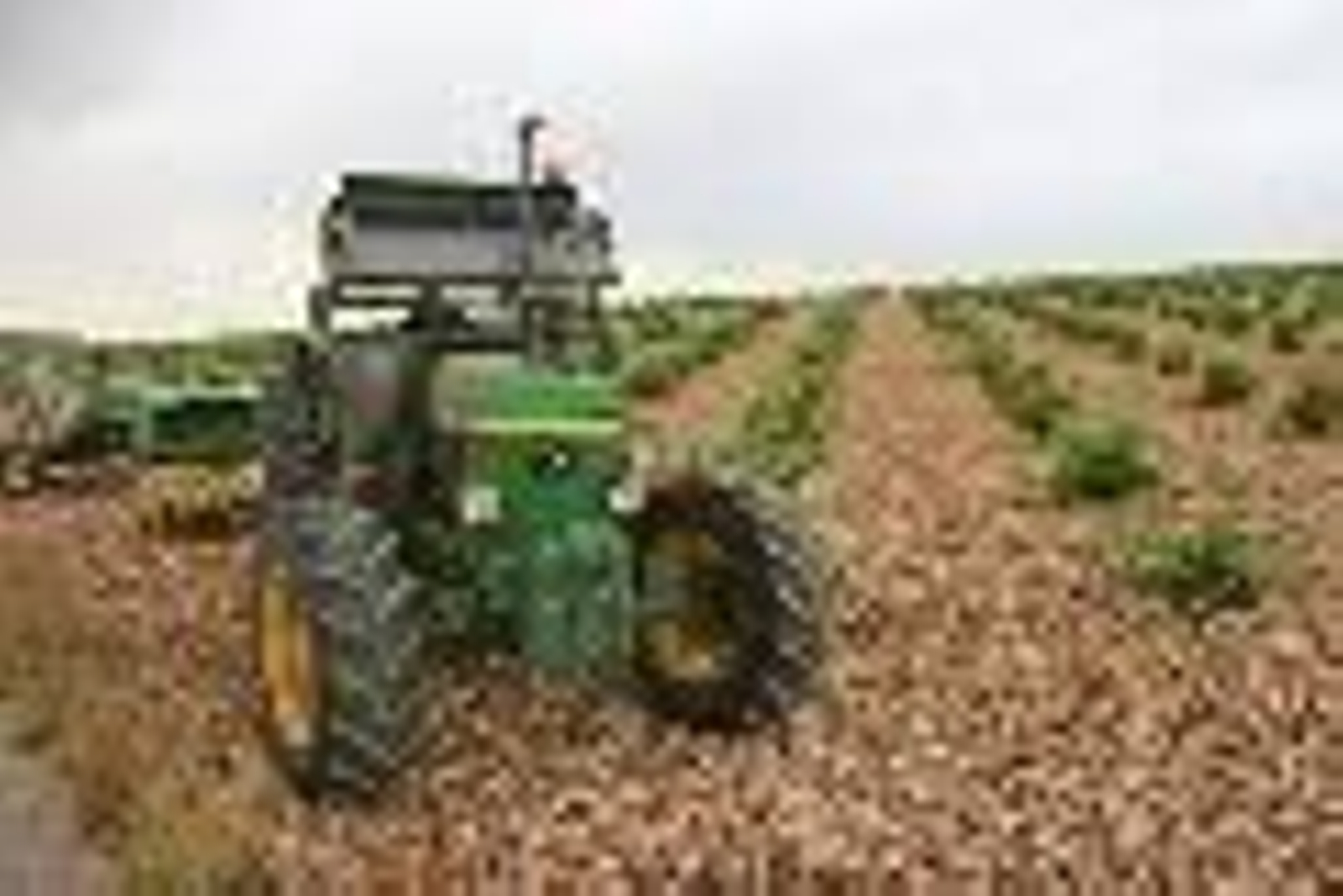 Los cónyugues de titulares de explotaciones agrarias recibirán ayudas para afiliarse a la S. Social.