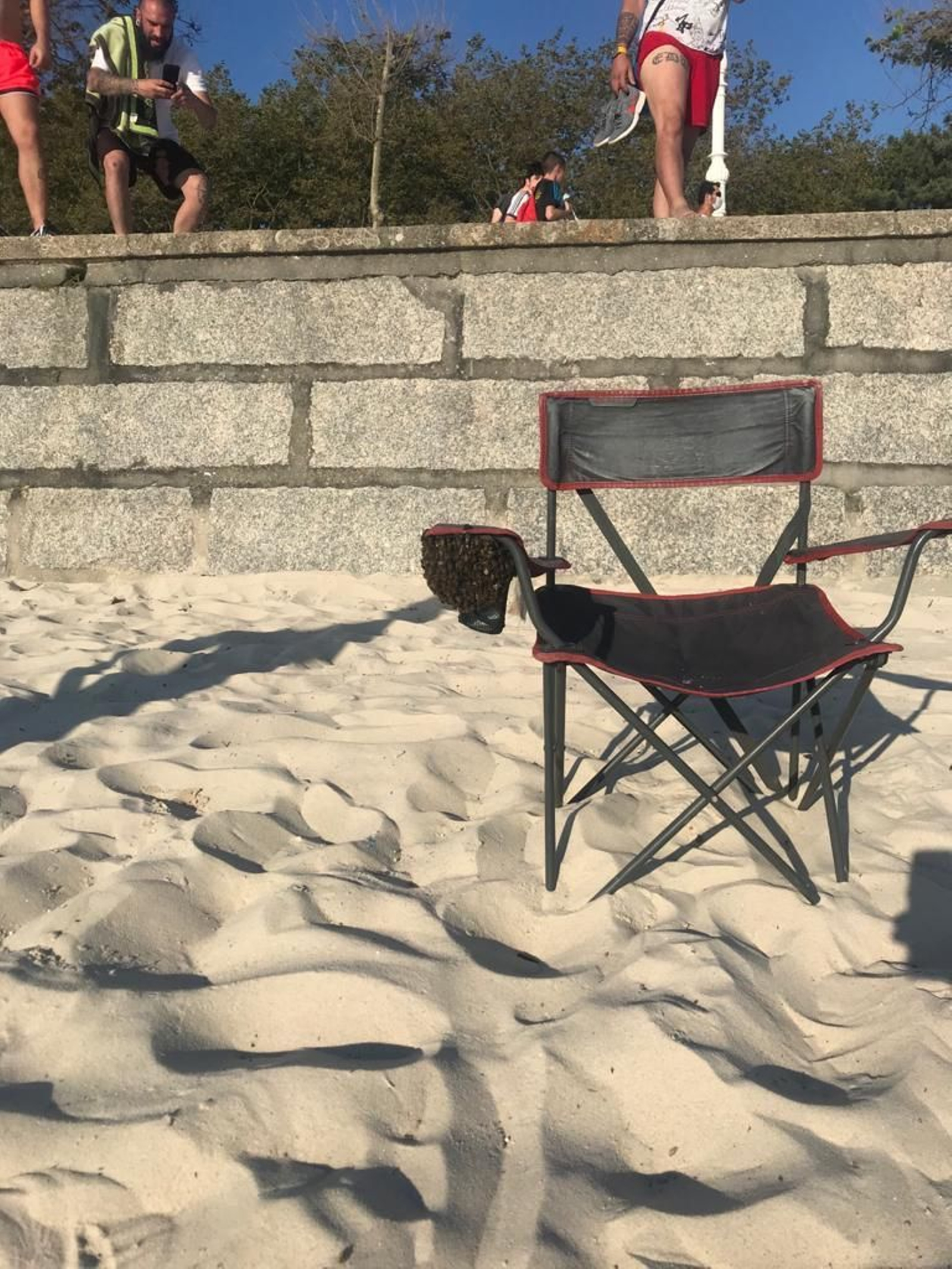 Una colonia de abejas anida en la silla de playa de una bañista en Samil