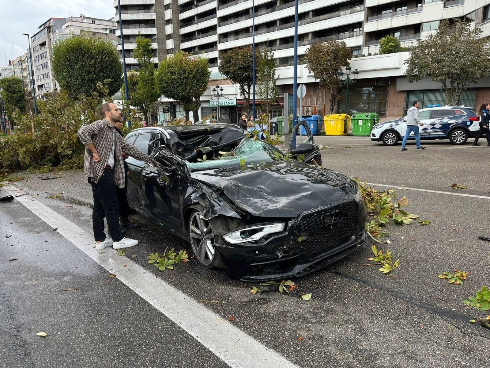 El árbol que cayó en Gran Vía y produjo un accidente. // Alberte