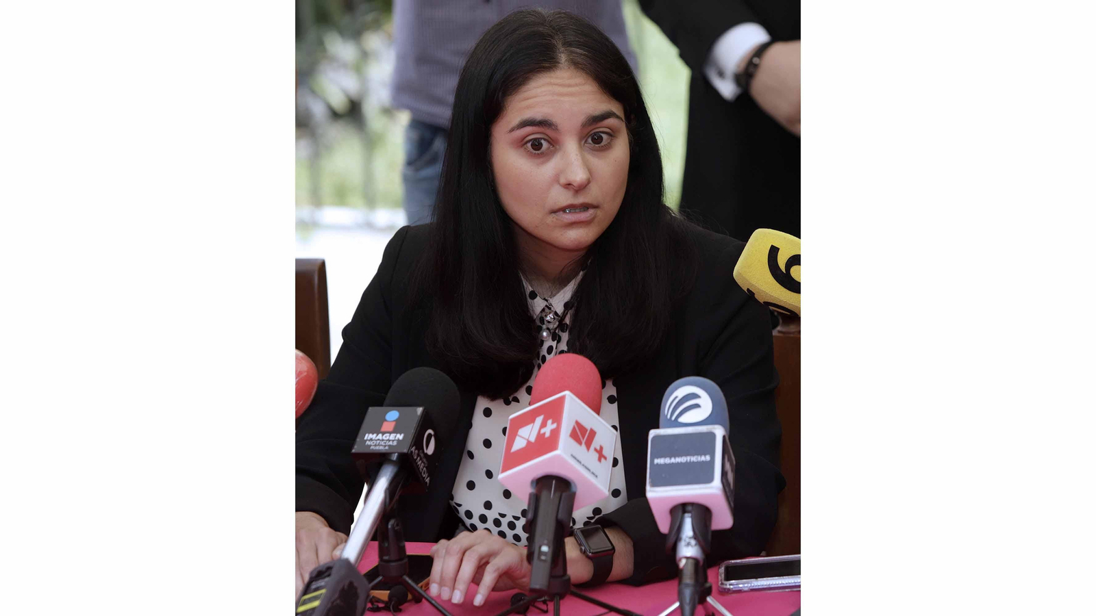 Helena Monzón, hermana de la activista asesinada Cecilia Monzón, durante una rueda de prensa en Puebla (México). EFE/Hilda Ríos