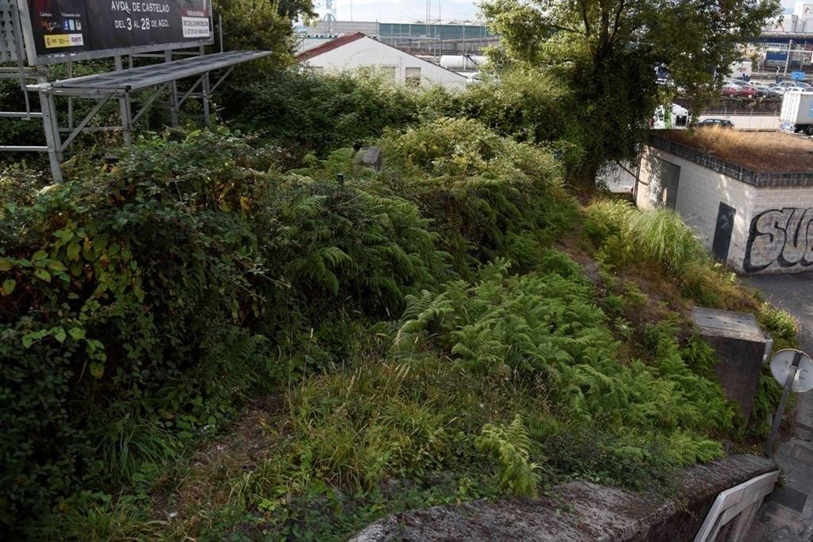 Distintos parques y jardines de la ciudad presentan deficiencias de mantenimiento.