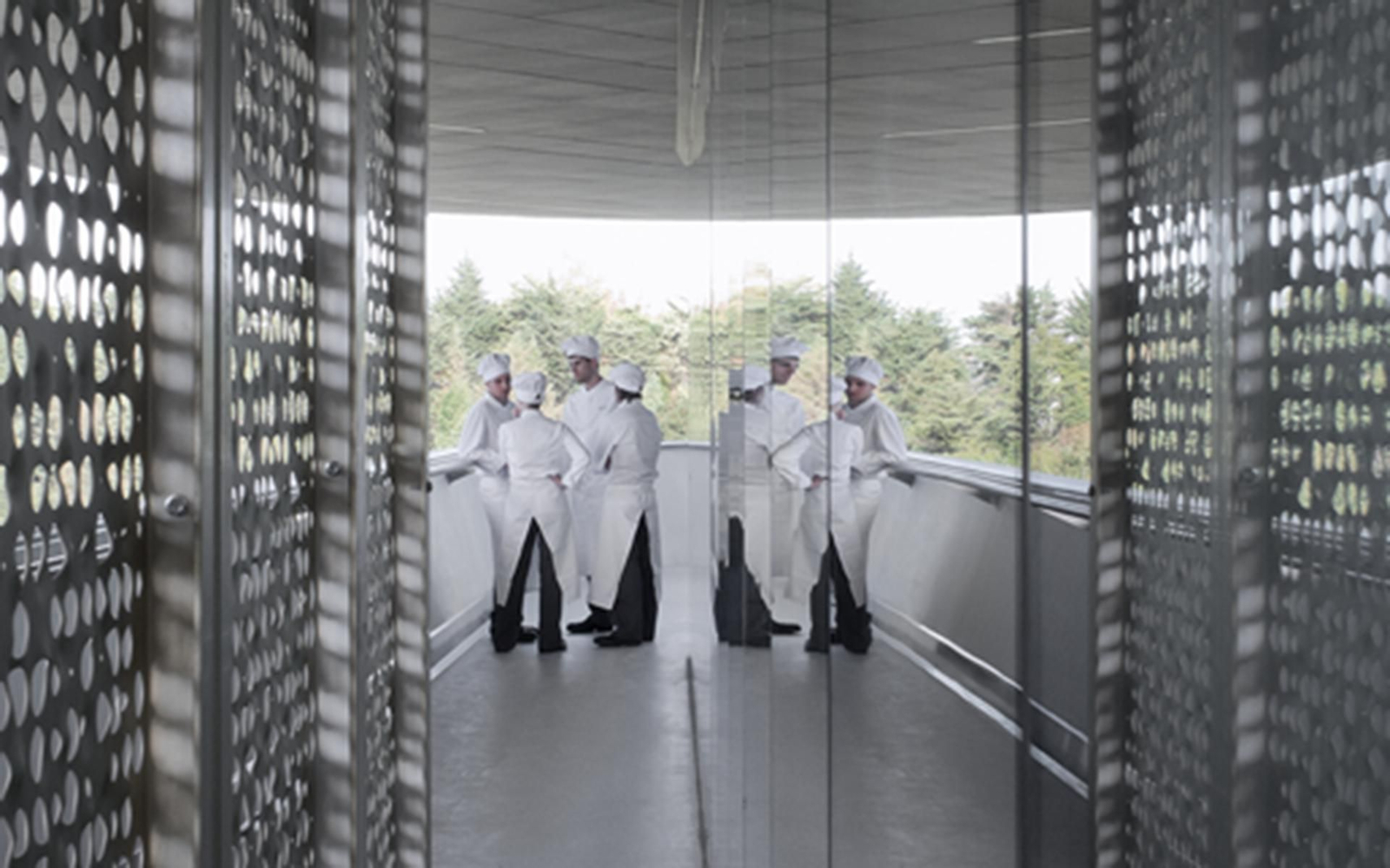 Basque Culinary Center web