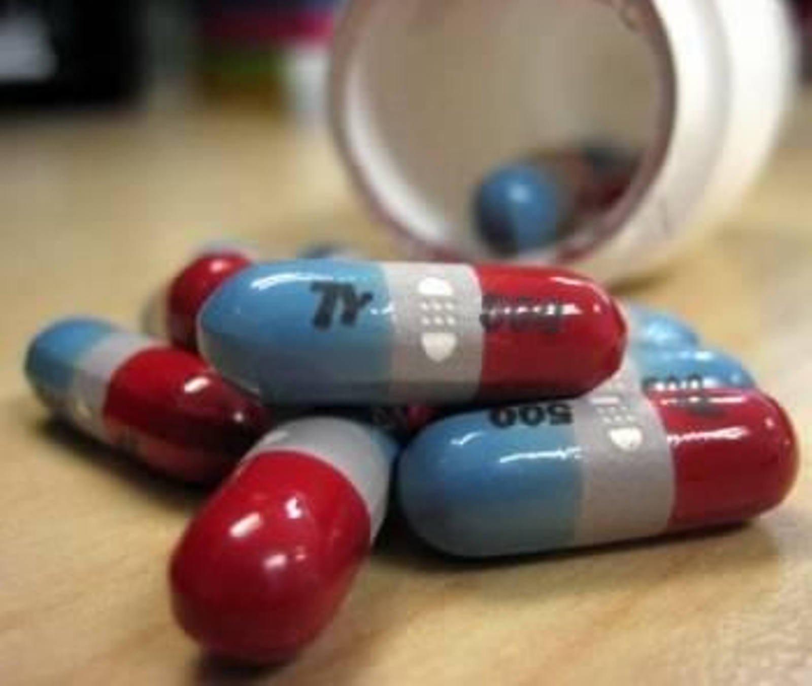 Foto: KATY WARNER/WIKIMEDIA COMMONS