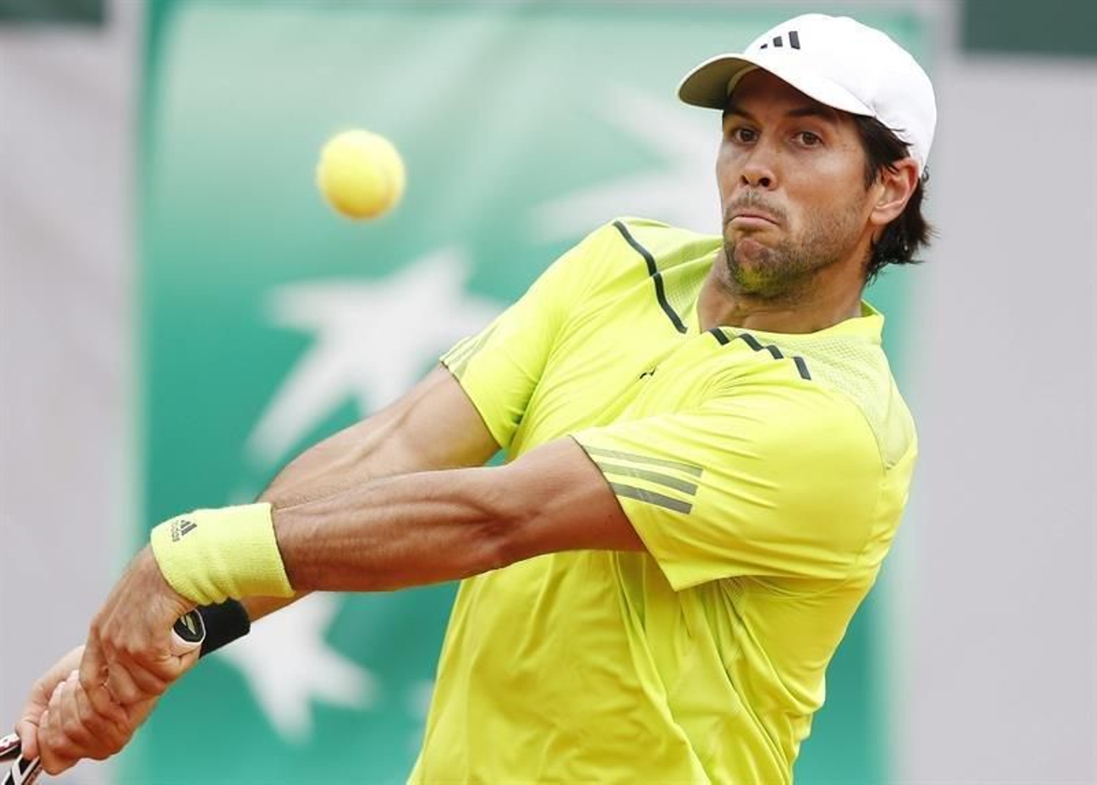 El tenista español Fernando Verdasco