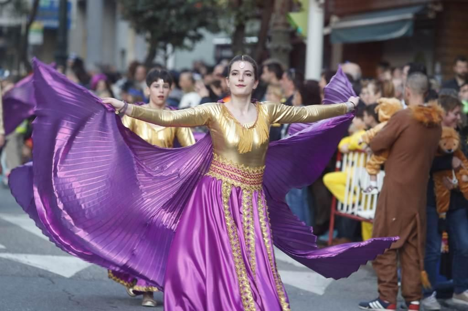 Desfile del Entroido en Vigo 383