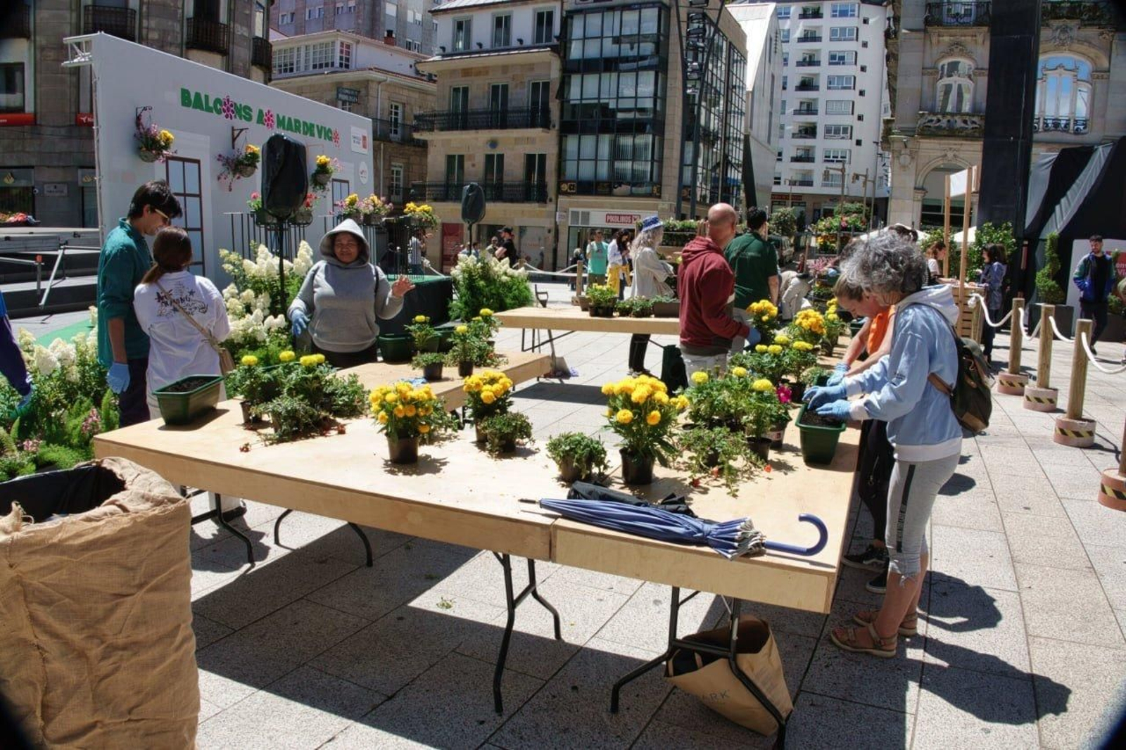 Actividad con flores en Porta do Sol aprovechando el sol. // Vicente Alonso