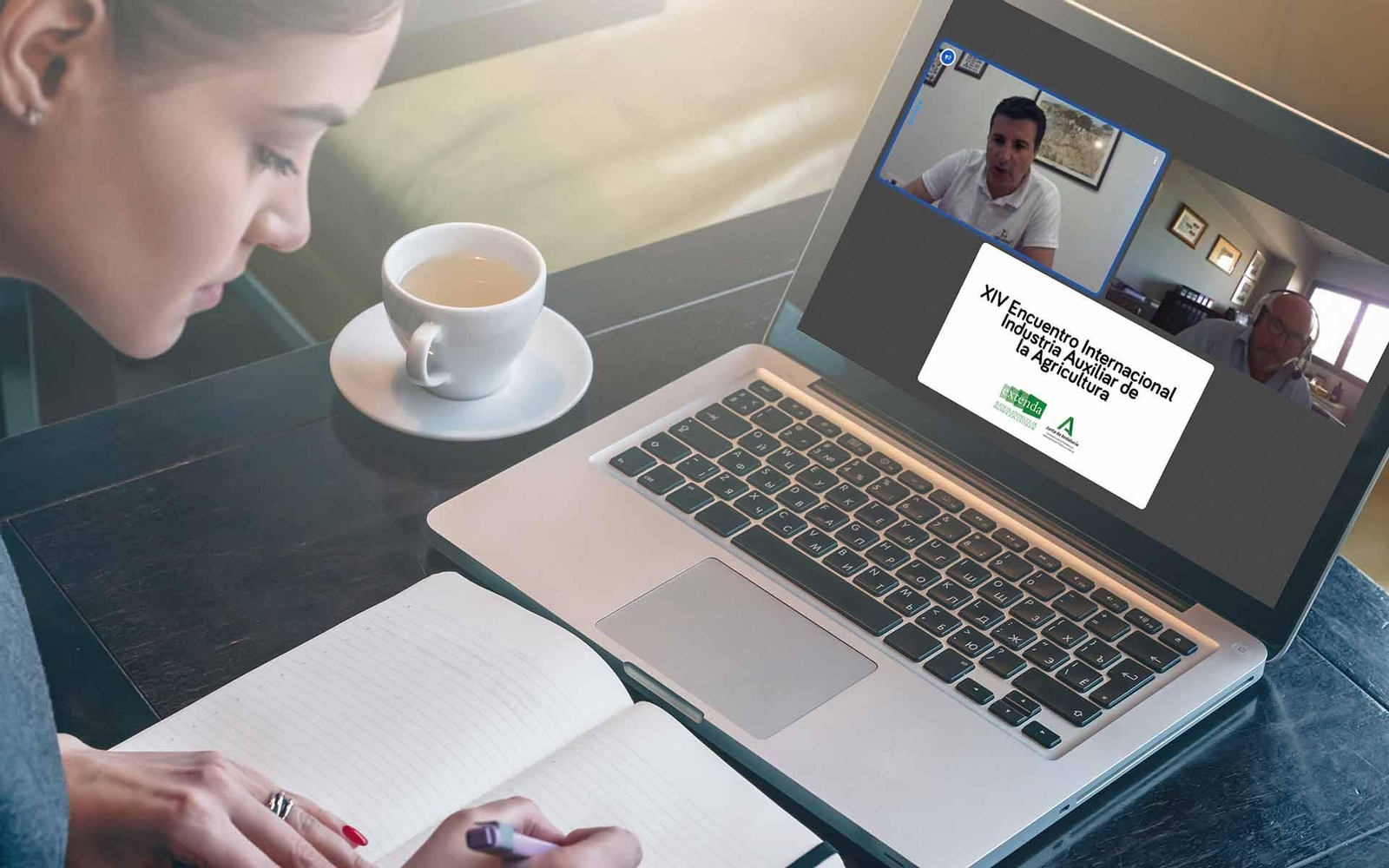 Andalucía Extenda web