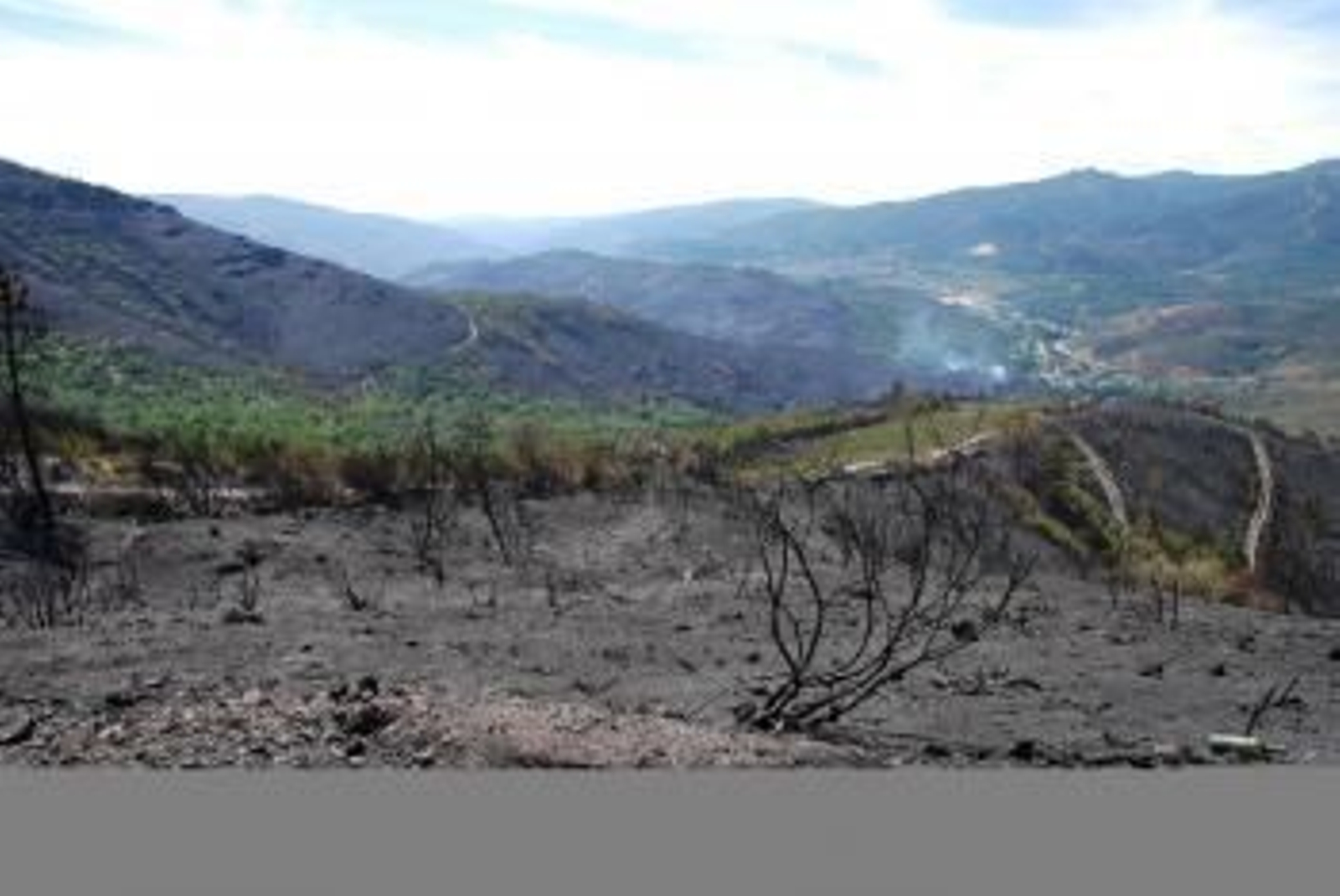 Monte quemado en A Veiga (Foto: Luis Blanco)