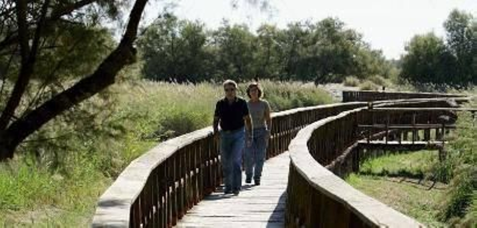 Parque Nacional de las Tablas de Daimiel.