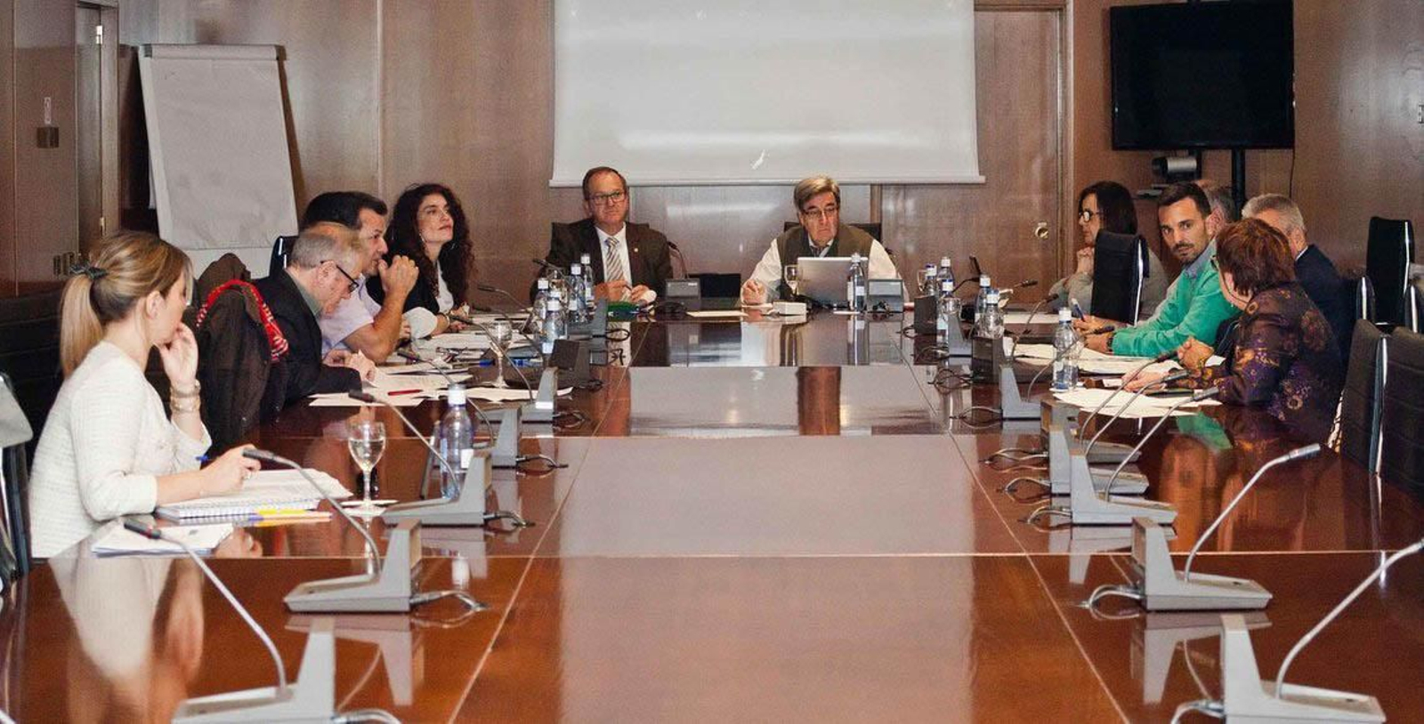 Foto de una reunión en el año 2019 de la Comisión de Educación, Cultura y Deporte del CGCEE