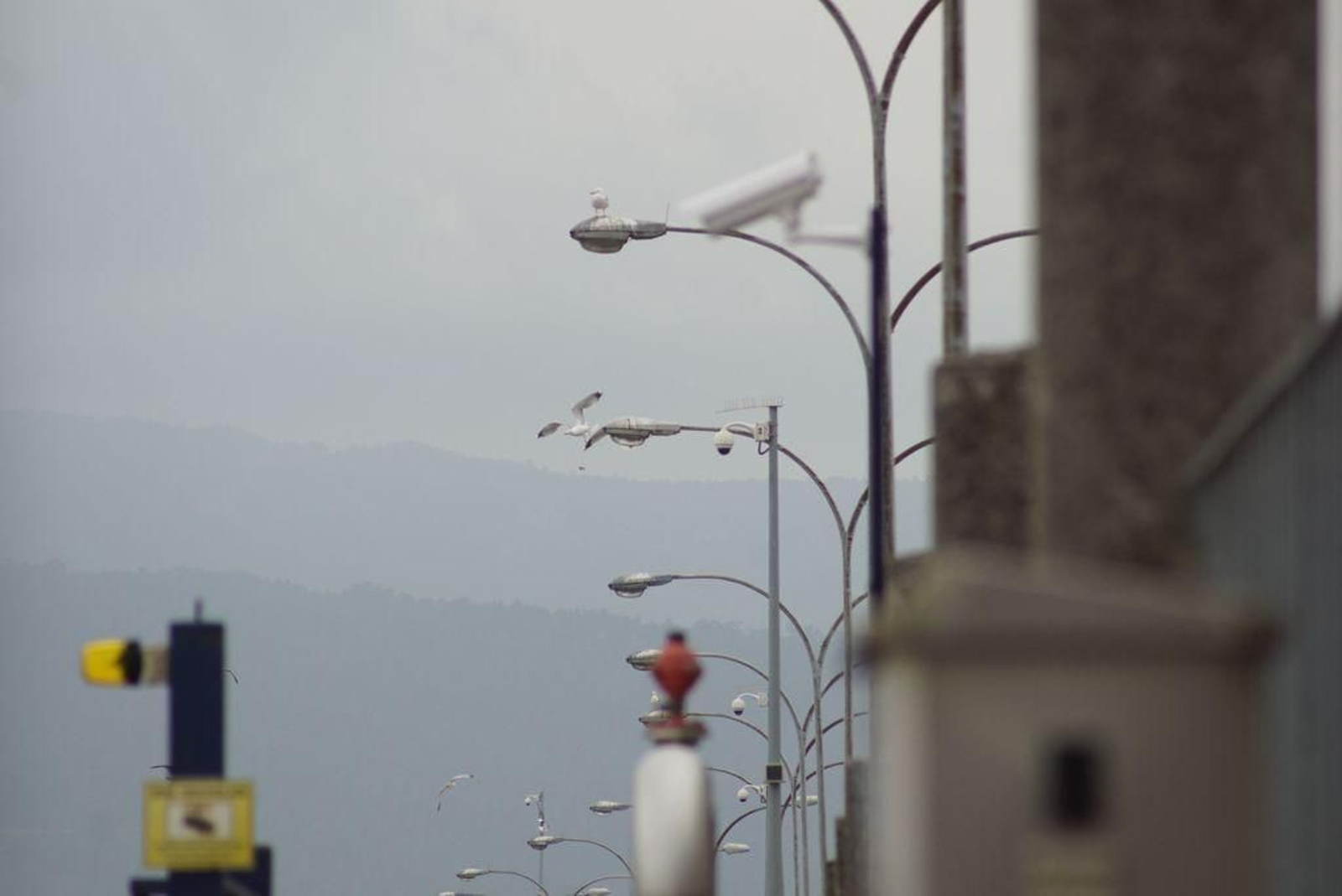 Una de las cámaras de vigilancia instaladas por el Puerto: en la actualidad hay 206.