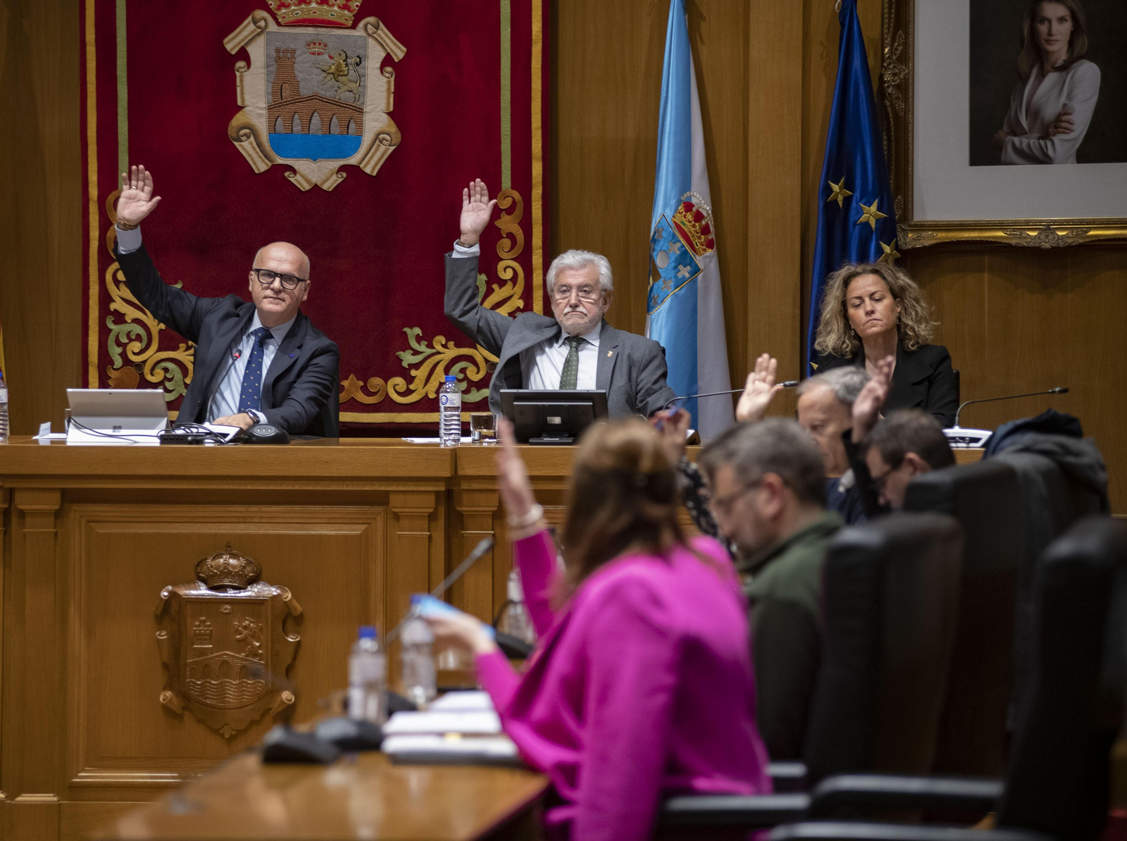 Pleno en la Deputación de Ourense. Foto: Xesús Fariñas
