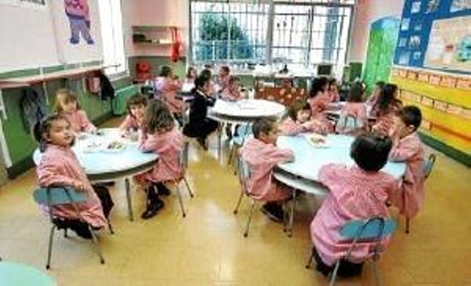 El TSJA. contra los criterios de escolarización de Educación.