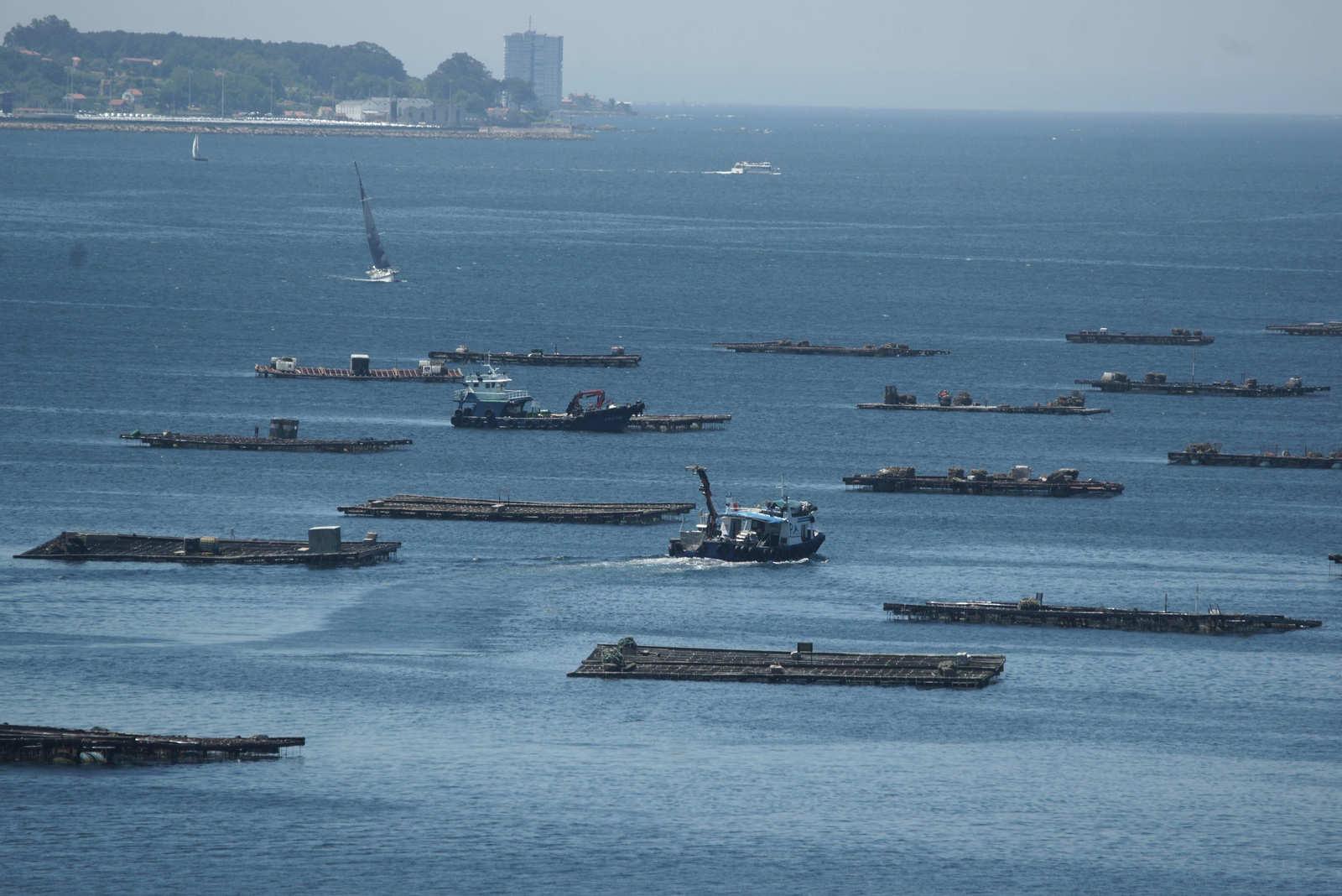 Todos los polígonos de bateas de la Ría de Vigo están operativos.