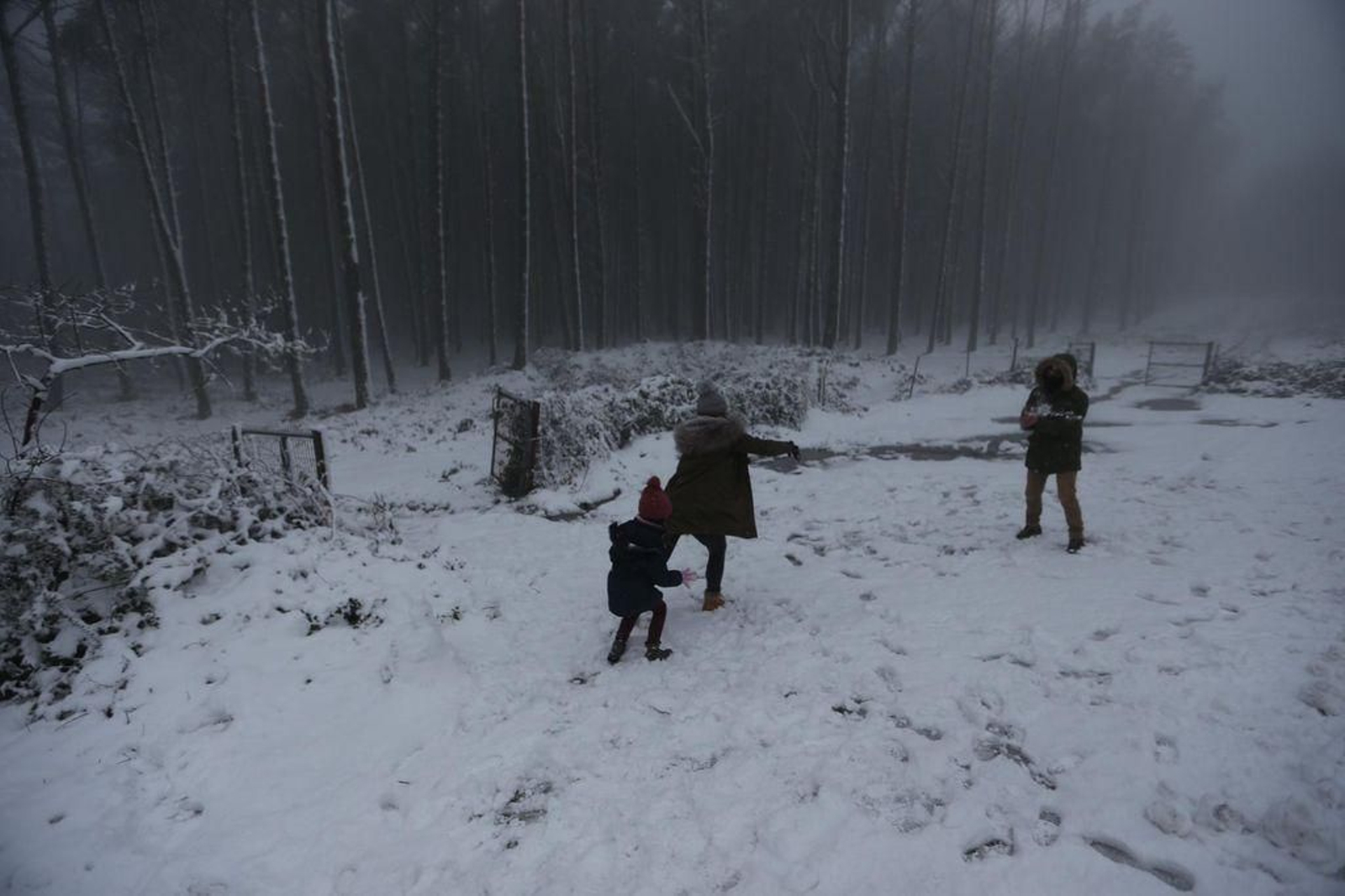 La nieve cubre el Alto de Fontefría // Alberte