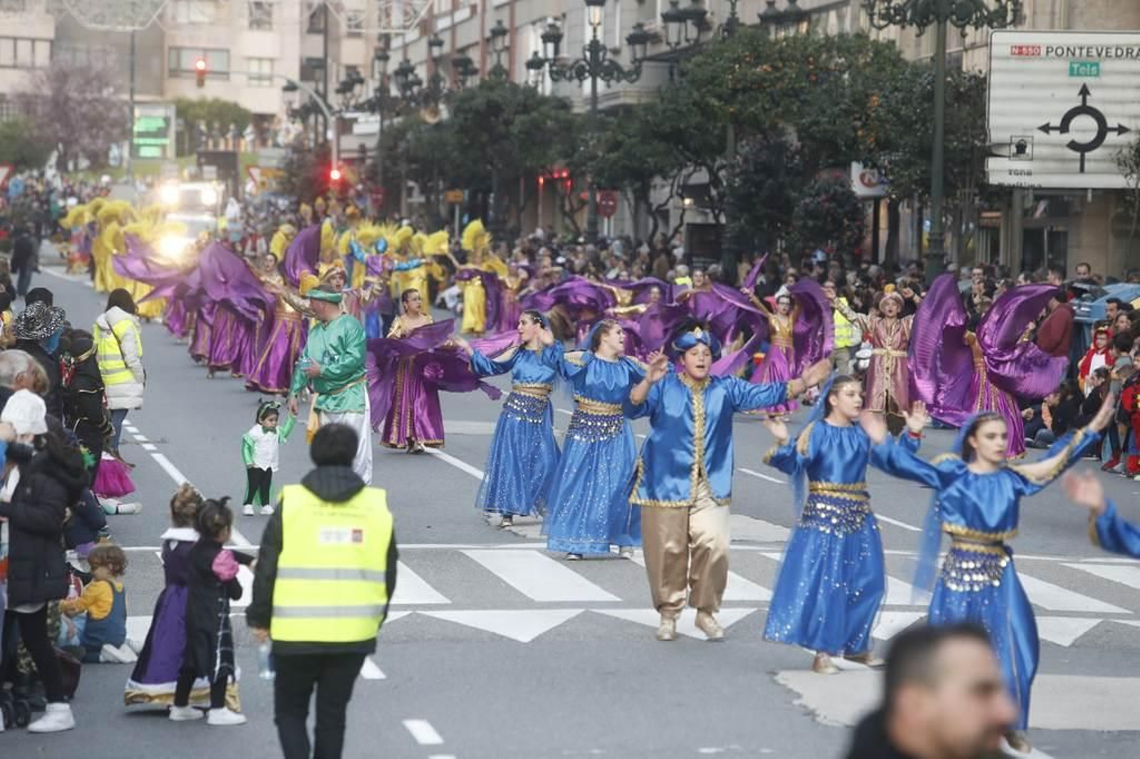 Desfile del Entroido en Vigo 393