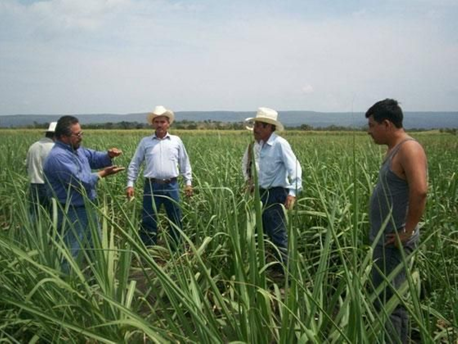 Agricultores y ganaderos tienen de plazo hasta el 30 de abril para soliciar el PAC.