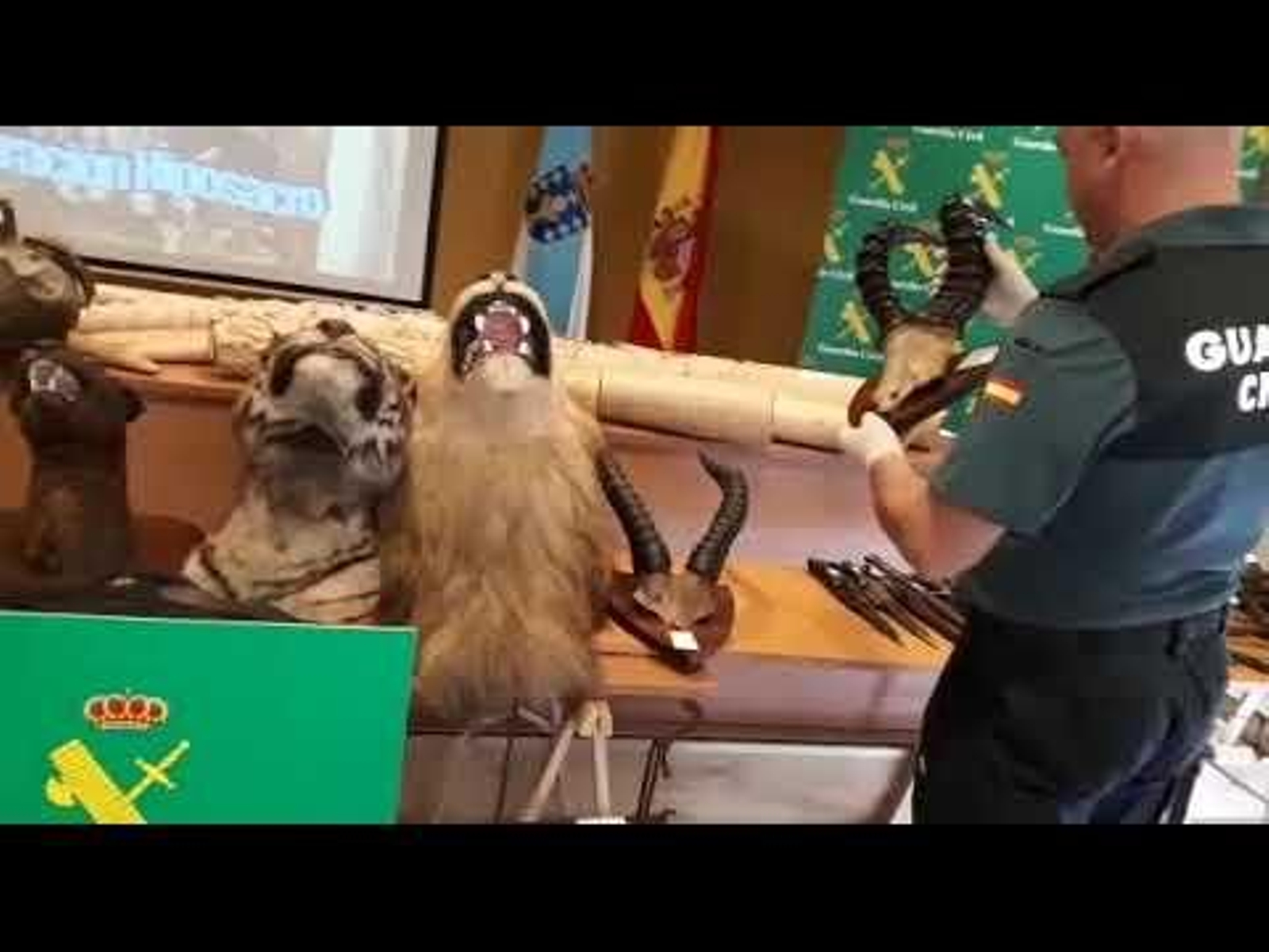 Almacén desmantelado en Salvaterra