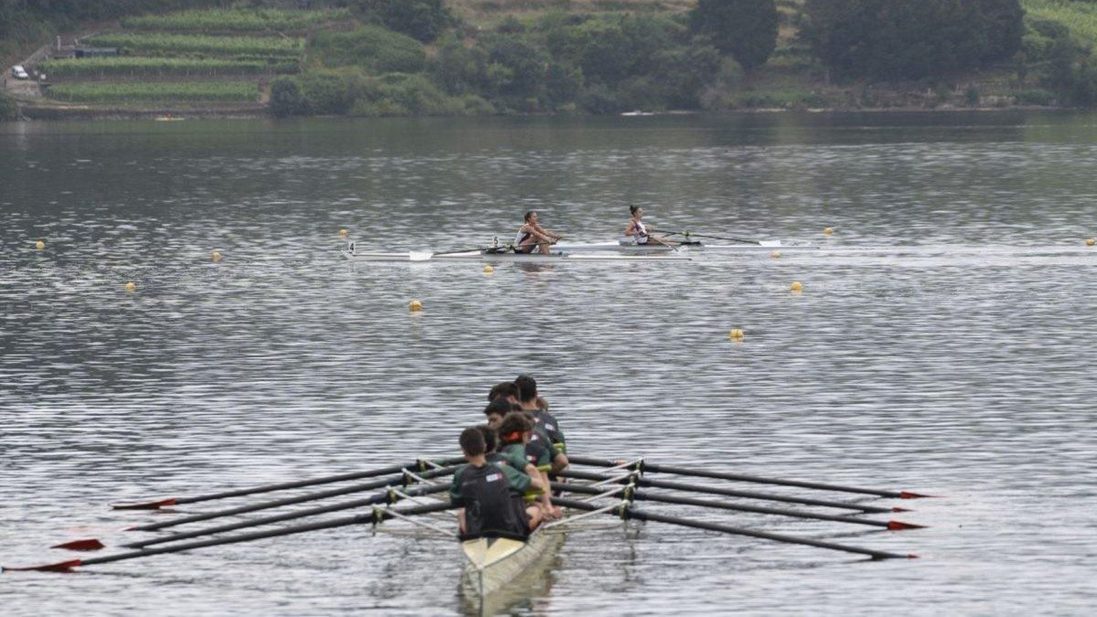 Castrelo do Miño volvió a ser la capital del remo olímpico gallego, con una jornada repleta de pruebas en todas las categorías y grupos de edad en las aguas de la localidad ourensana.