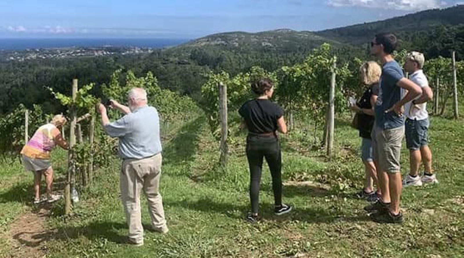 Cantabria periodistas irlandeses web