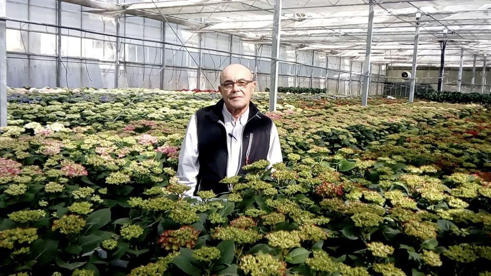 José Cosmed, propietario de Vidaplan, uno de los viveros del Baixo Miño.