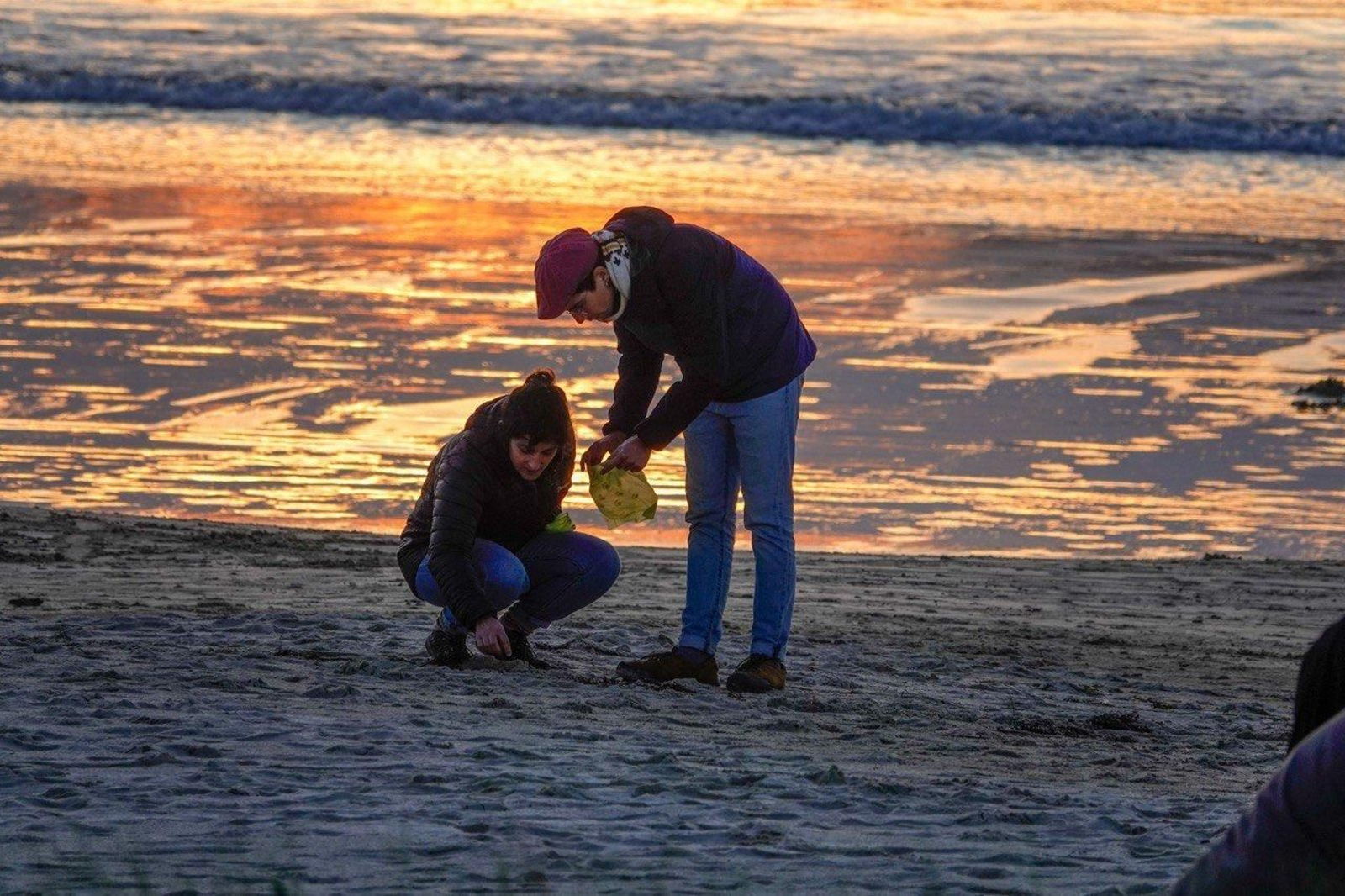 Voluntarios recogen pellets de plástico.