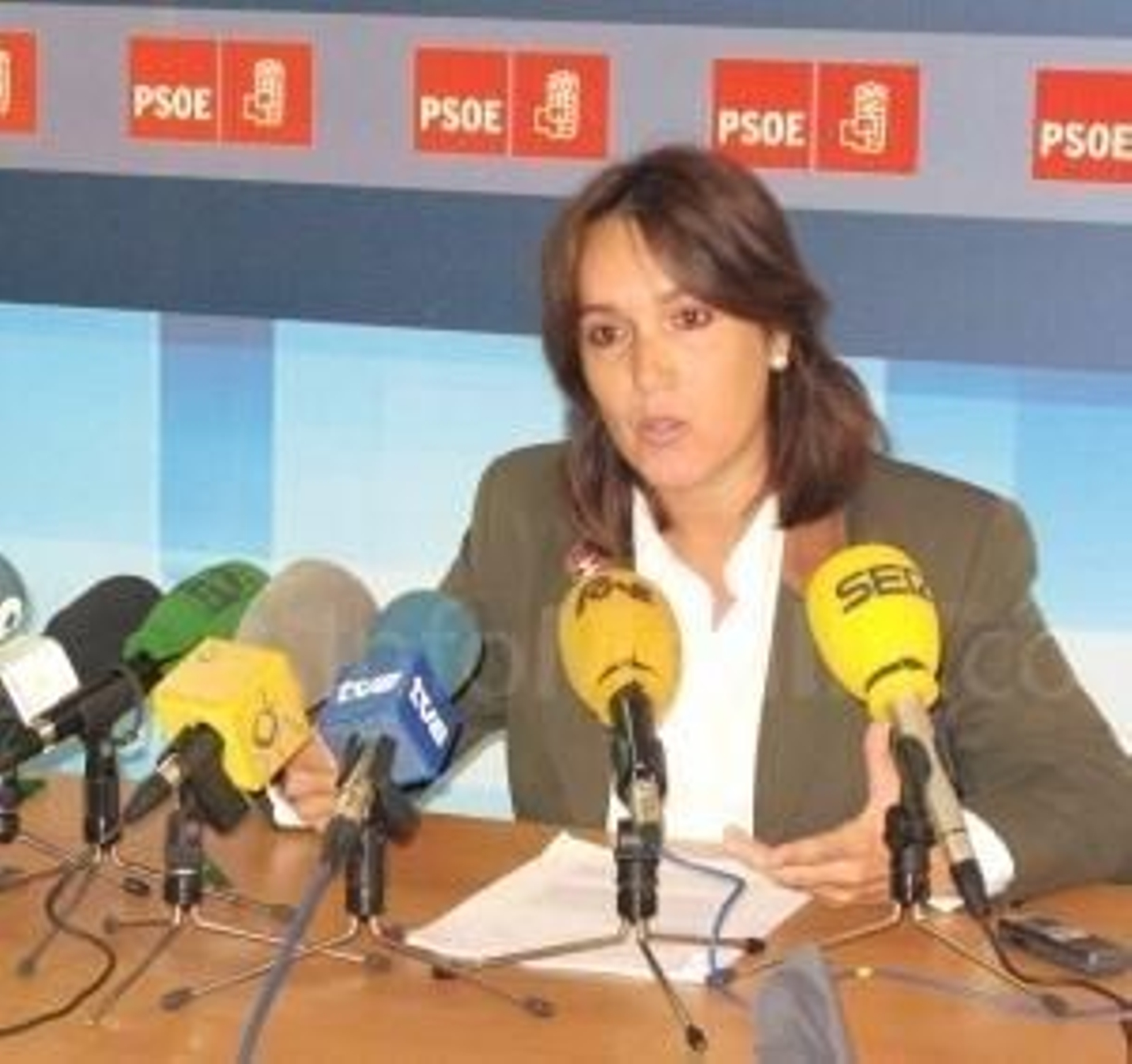 Mari Paz Ojeda, secretaria de Empleo y Economía del PSOE.