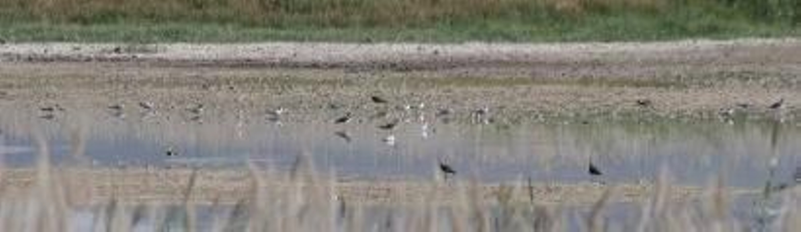 Las Tablas de Daimiel contará con más metros cuadrados de terreno.