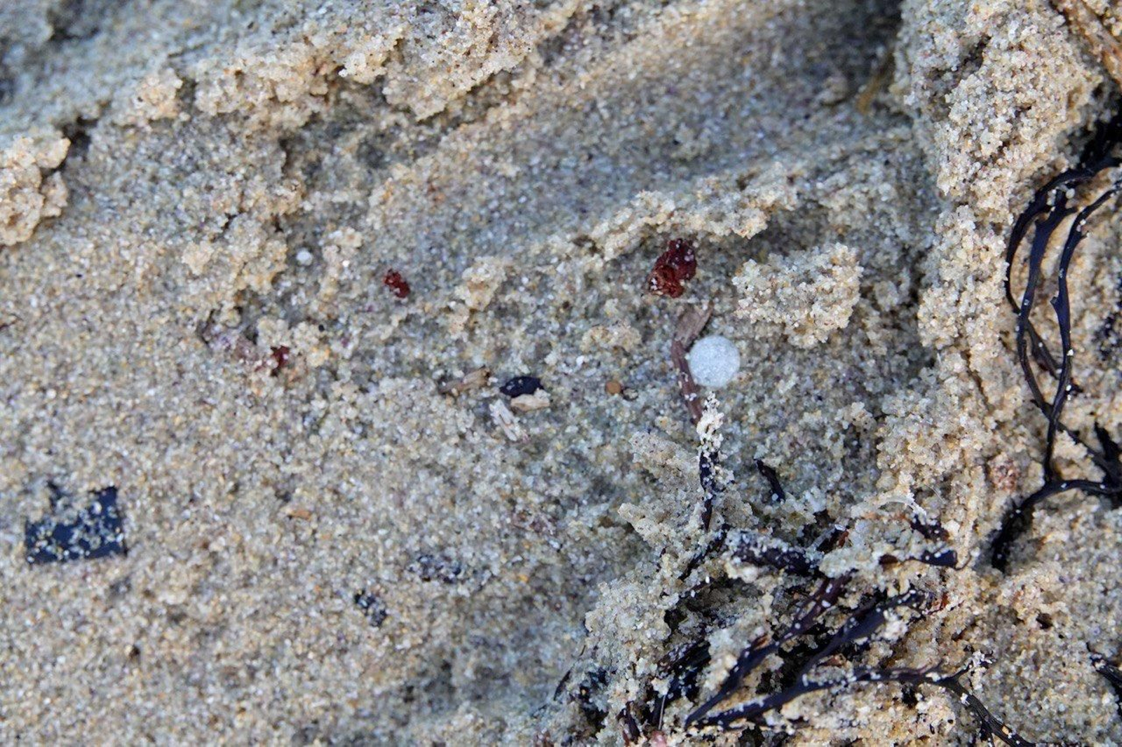 Pellets de plástico.