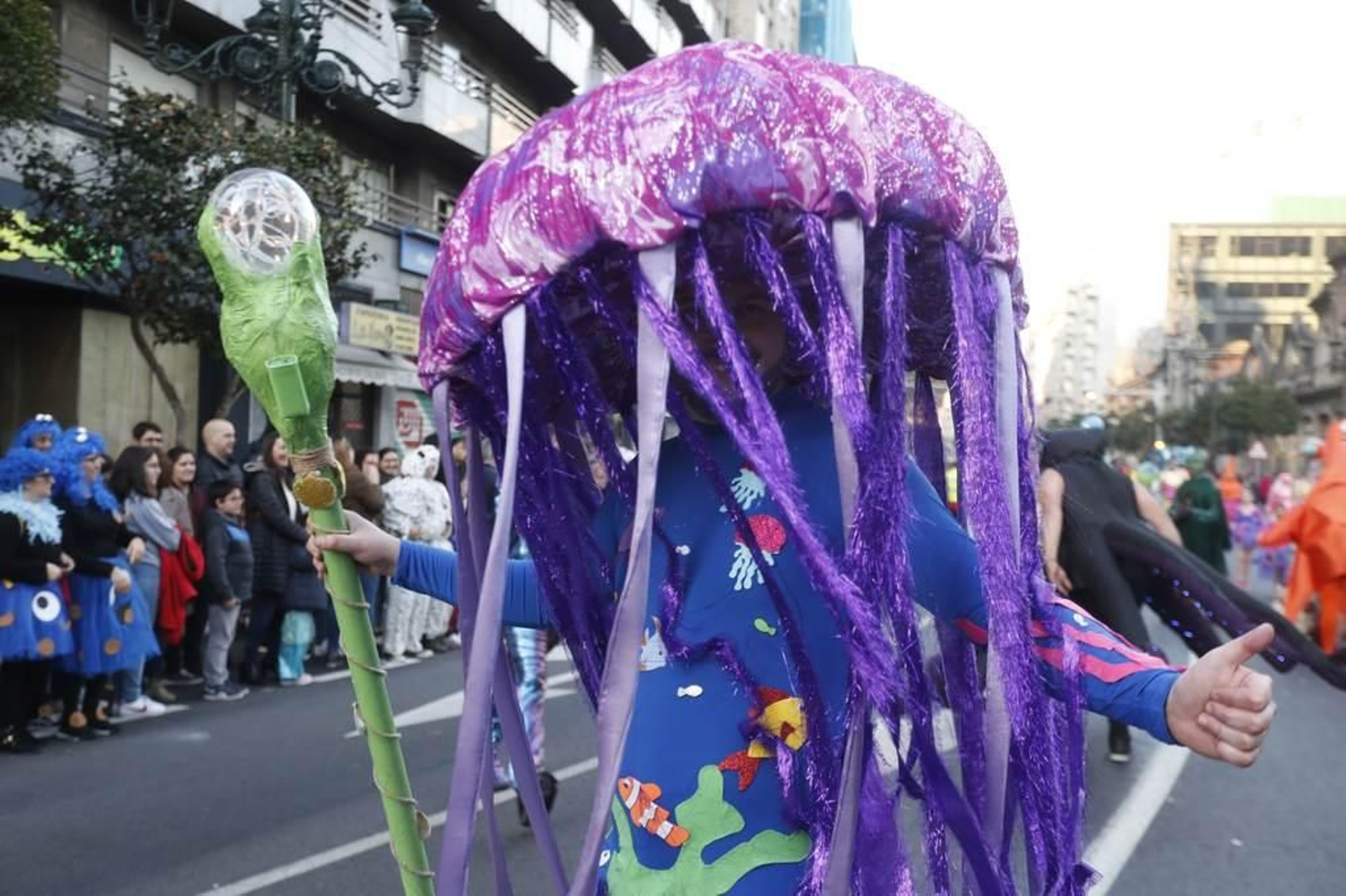 Desfile del Entroido en Vigo 481
