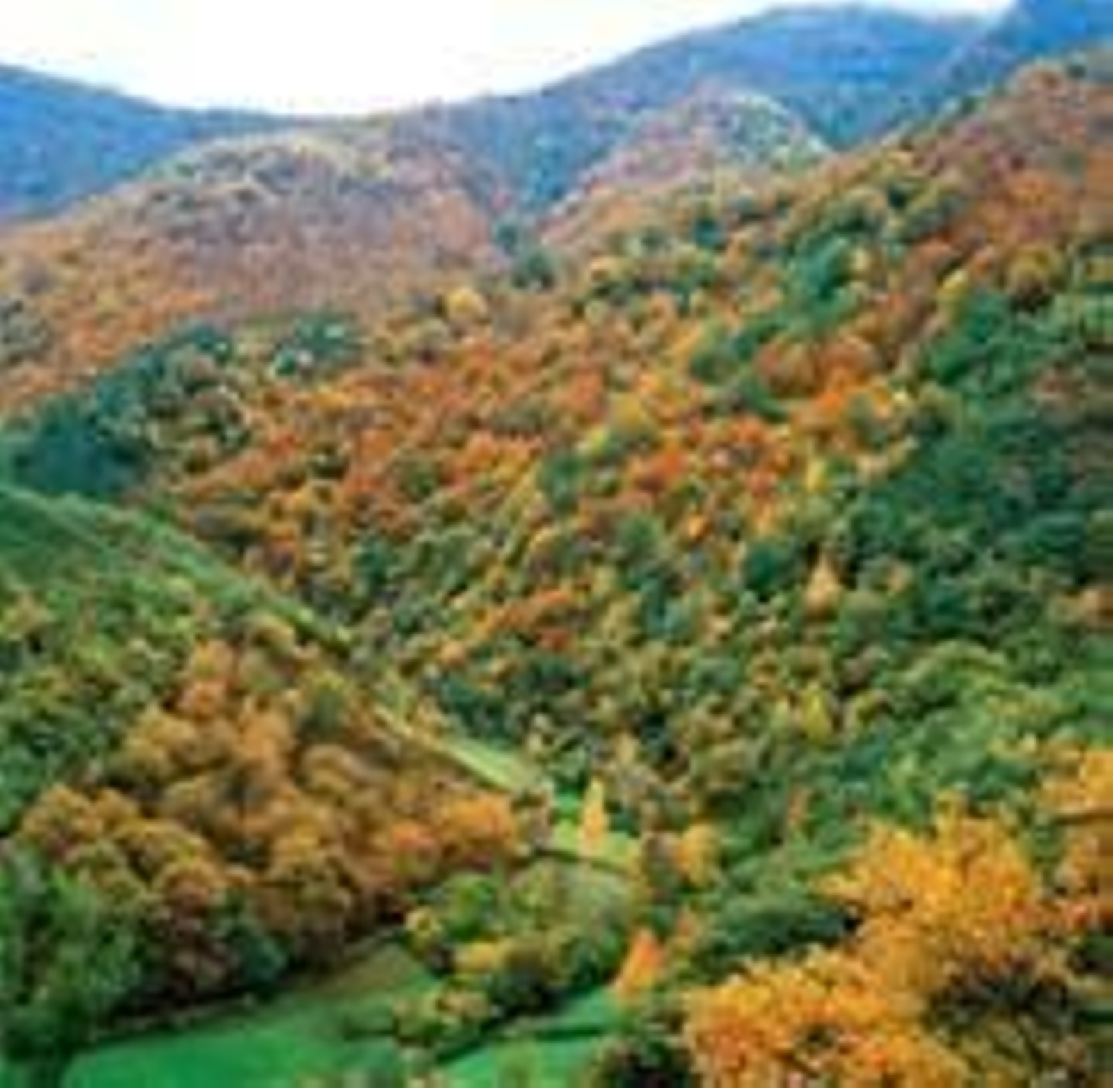 El Gobierno de La Rioja y el Ministerio han firmado un acuerdo, recogido en el Boe.