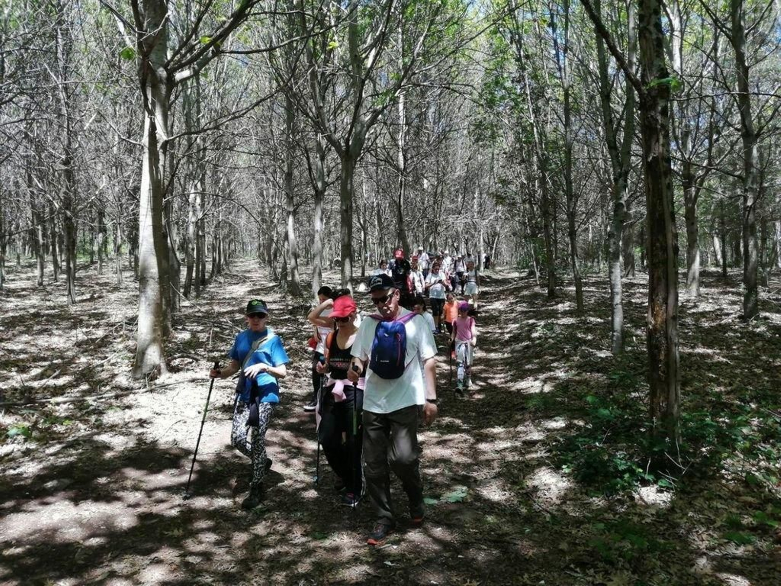 Parte del itinerario de la Andaina de ayer recorrió zonas afectadas por los incendios con brotes verdes.