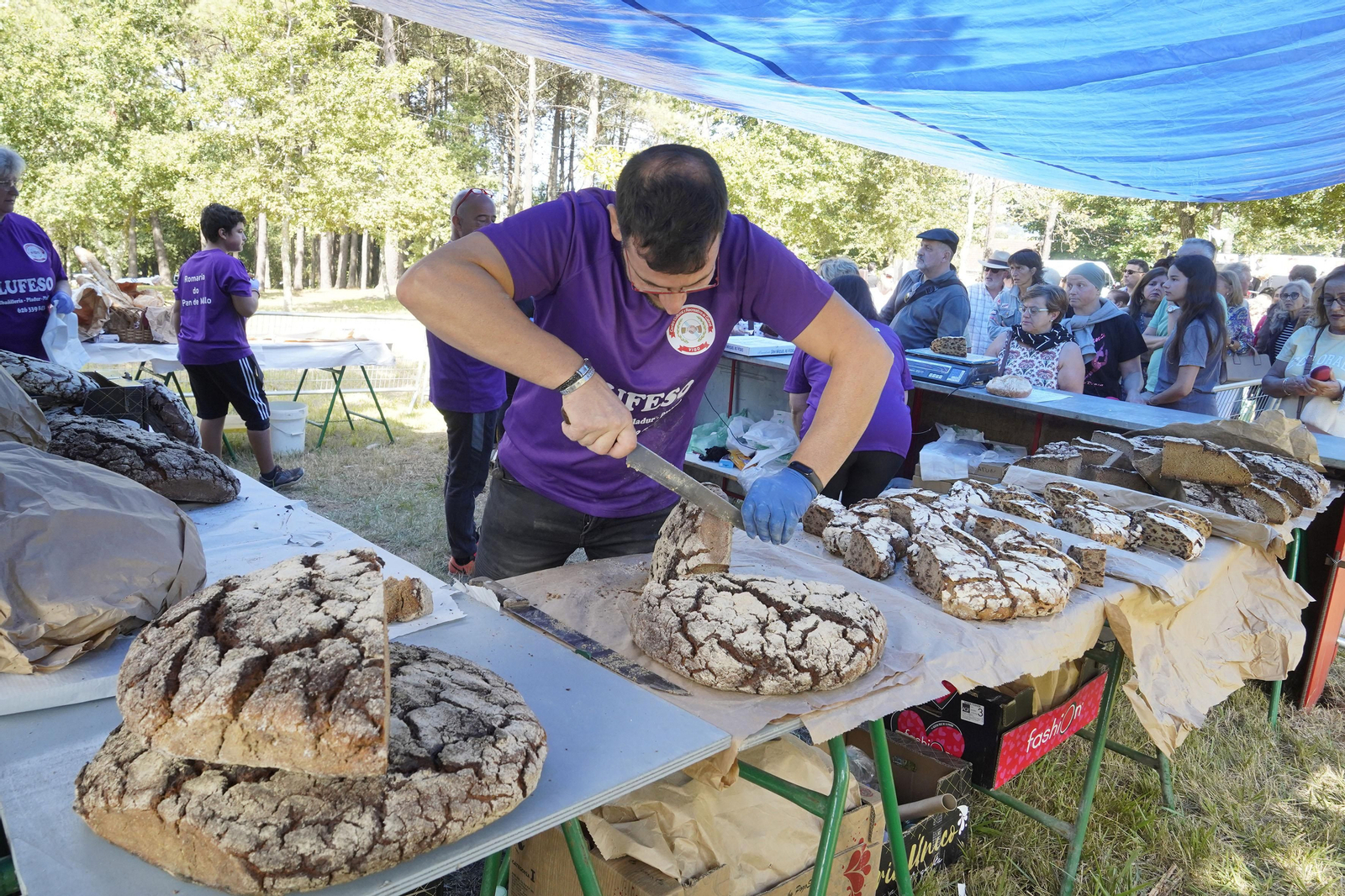 Celebración de la Romaría do Pan de Millo en Cabral.