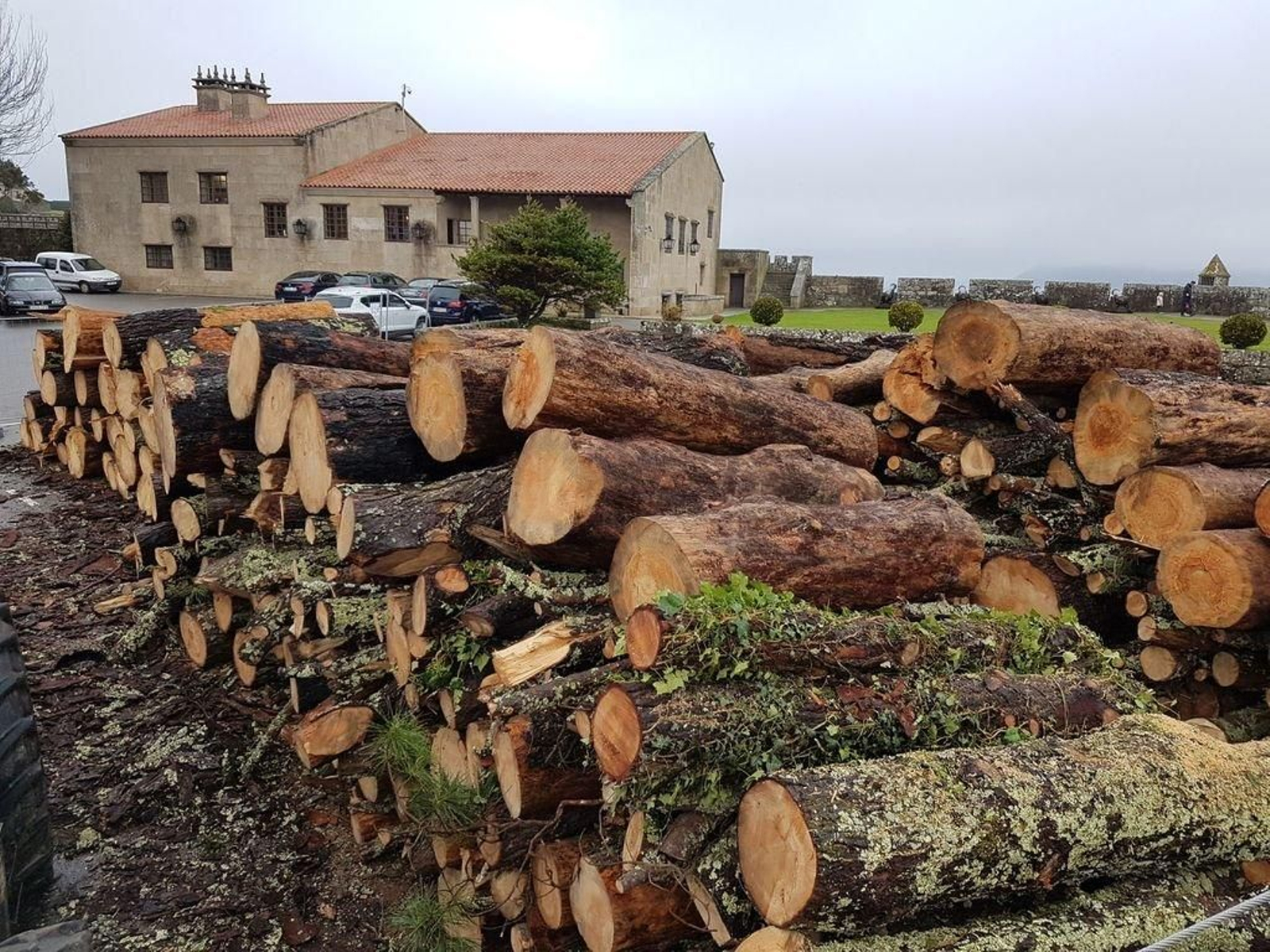 Troncos apilados en el recinto del Parador baionés a la espera de que la empresa maderera los retire.