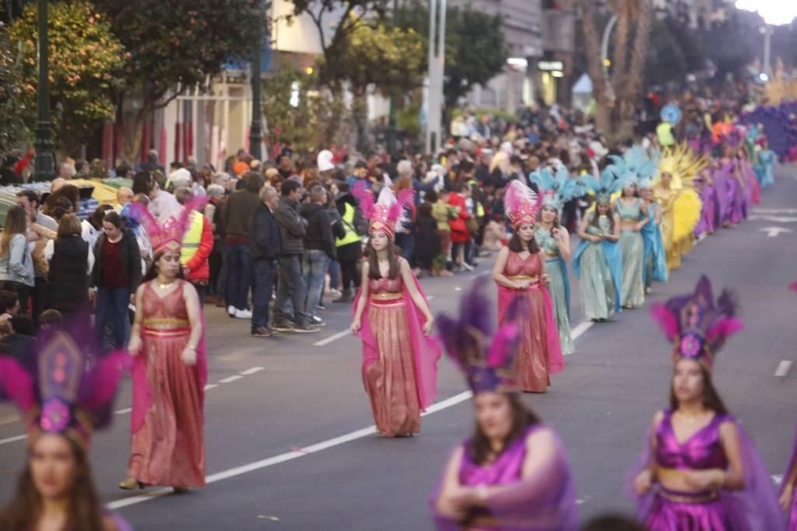 Desfile del Entroido en Vigo 193
