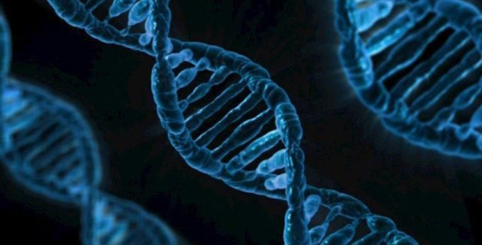 Investigadores españoles descubren la función reguladora de un gen para evitar daño en ADN y proteger contra cáncer.