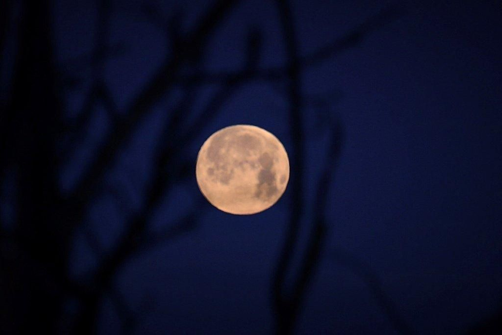 El eclipse total de Luna visto desde Vigo - Alberte  02