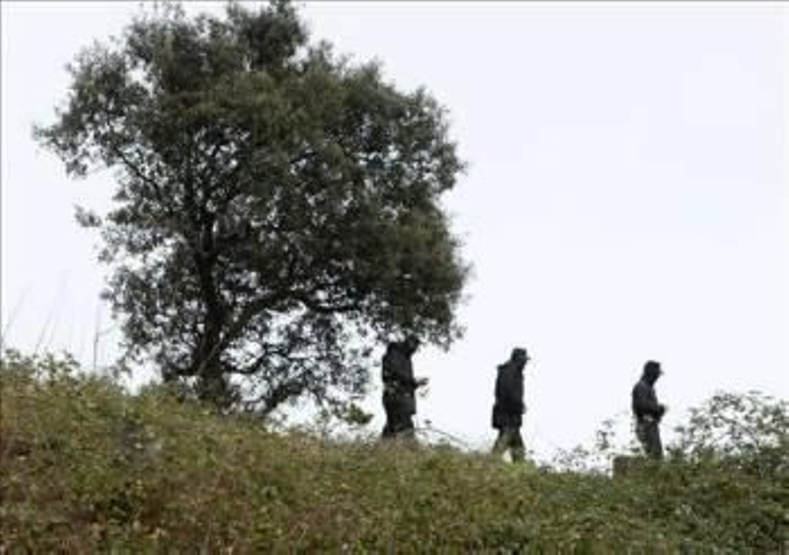 Agentes de la Ertzaintza en una zona de monte situado en el entorno de la localidad vizcaína de Ondarroa, en la que han localizado un zulo con material explosivo.